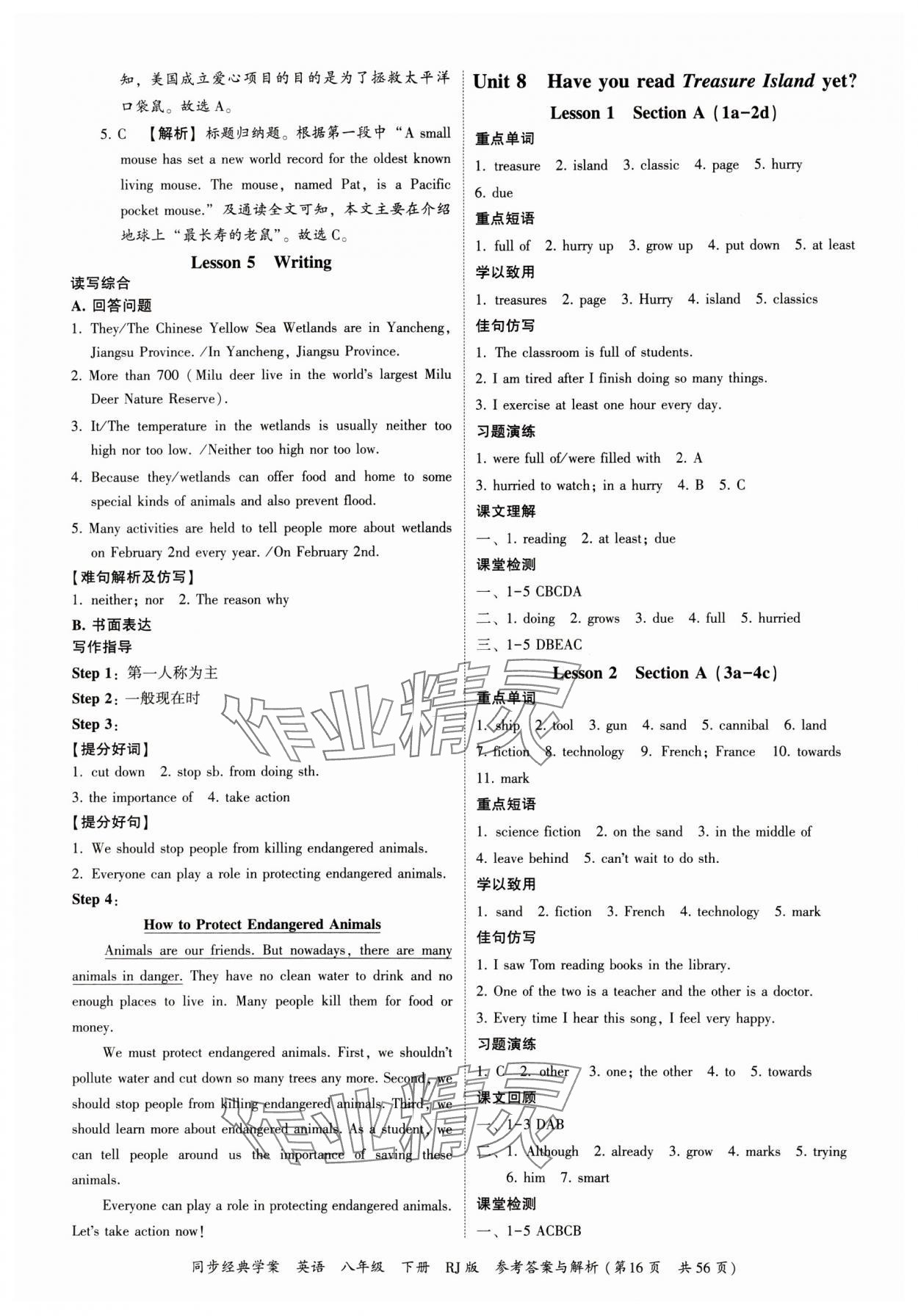 2024年同步經(jīng)典學(xué)案八年級(jí)英語(yǔ)下冊(cè)人教版 參考答案第16頁(yè)