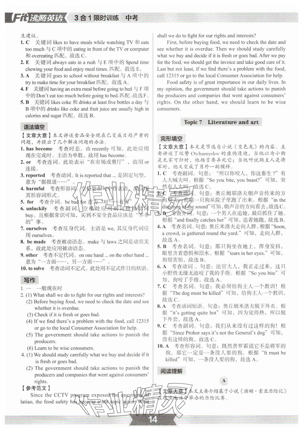 2025年沸腾英语3合1限时训练中考深圳专版&nbsp;参考答案第13页