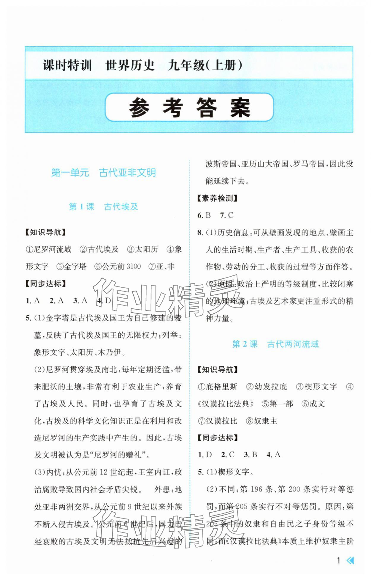 2025年课时特训九年级历史上册人教版 第1页