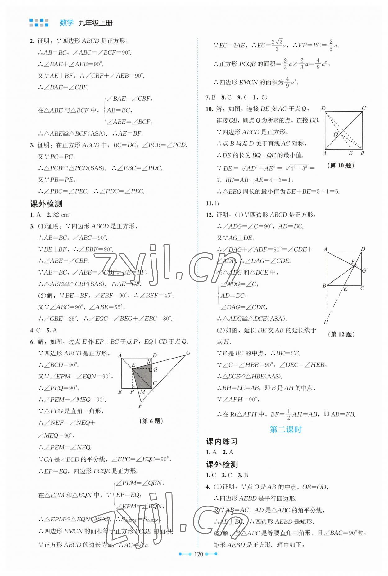 2023年伴你學(xué)北京師范大學(xué)出版社九年級數(shù)學(xué)上冊北師大版 第4頁