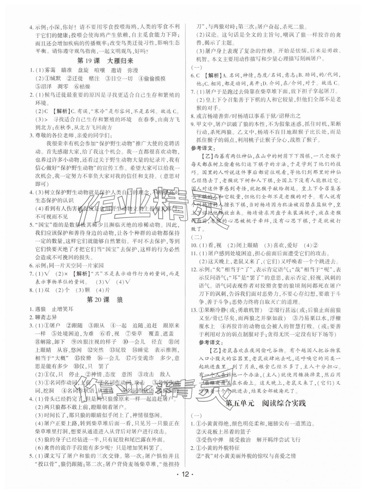 2025年基础精练七年级语文上册人教版深圳专版 第12页