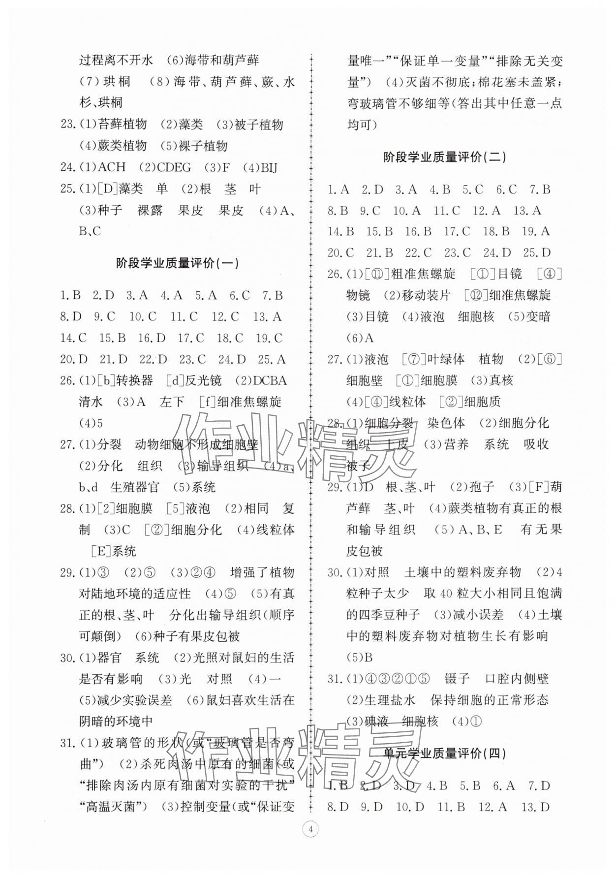 2025年同步练习册智慧拓展七年级生物上册济南版菏泽专版&nbsp;第4页