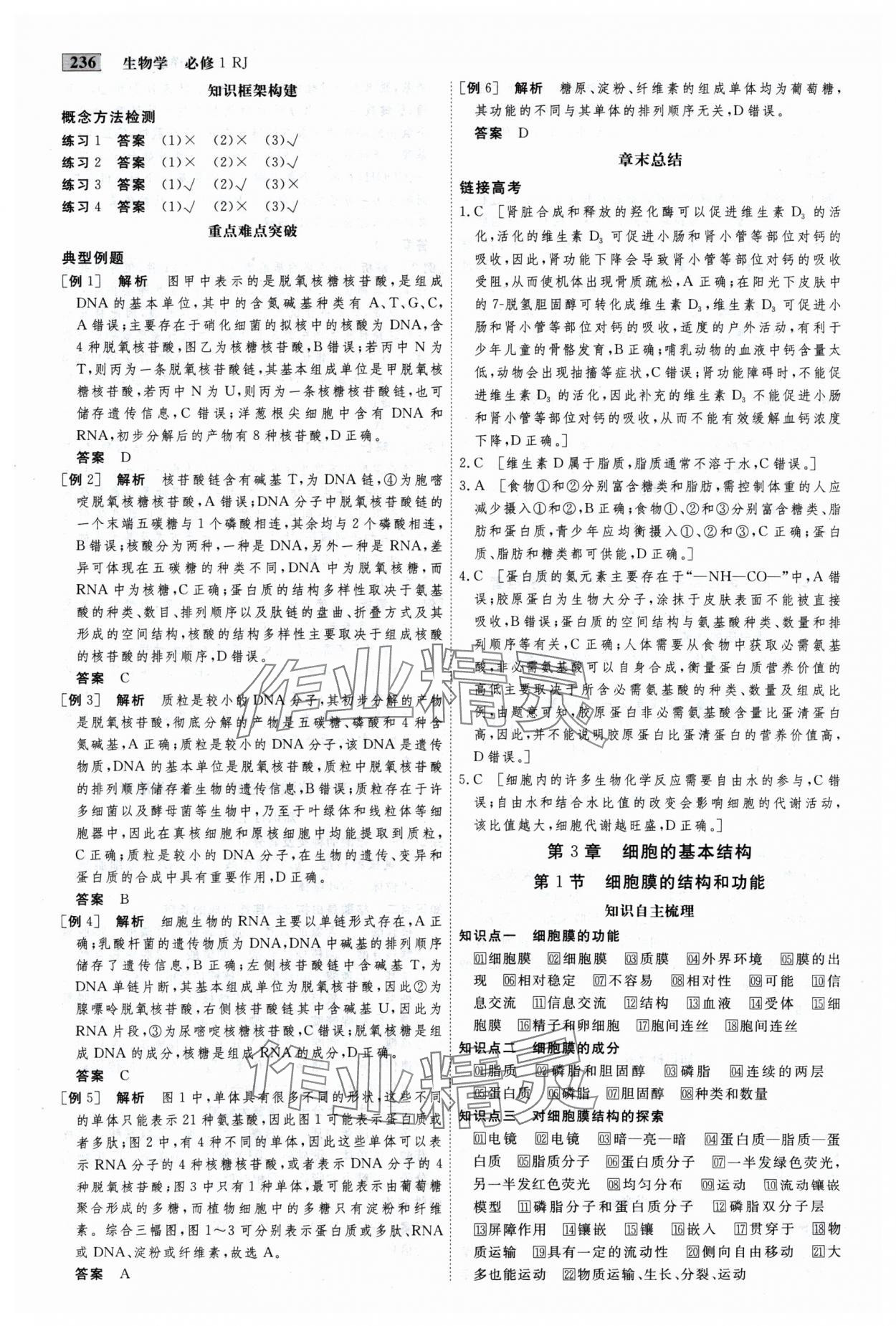 2024年金版教程高中新课程创新导学案高中生物必修1人教版 参考答案第4页