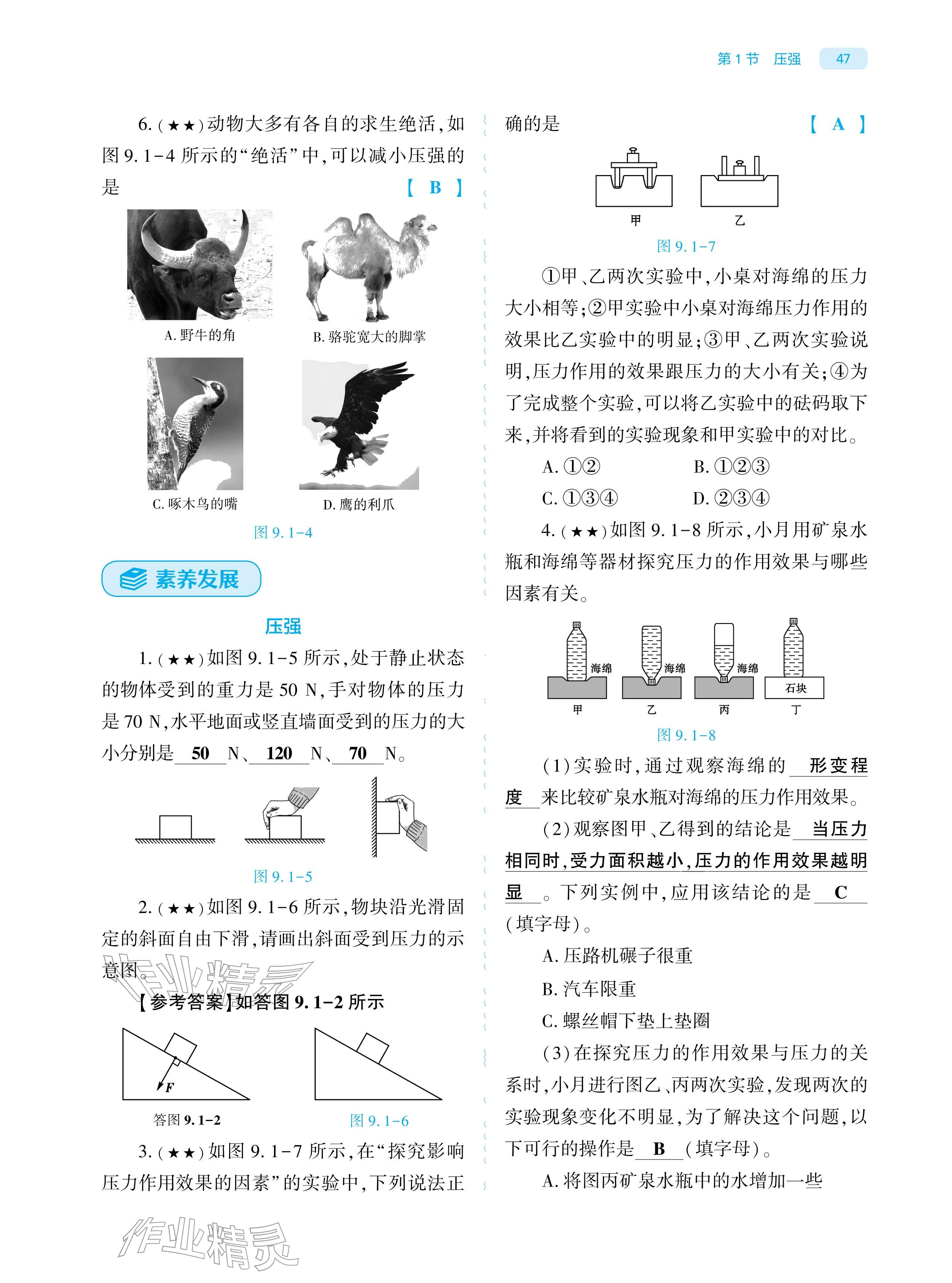 2026年基础训练大象出版社八年级物理下册人教版&nbsp;参考答案第46页