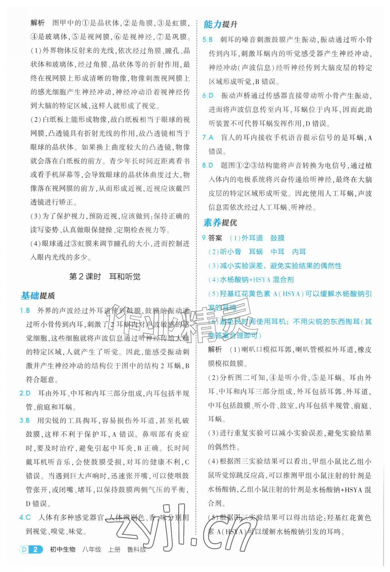 2026年5年中考3年模拟八年级生物上册鲁科版山东专版&nbsp;第2页