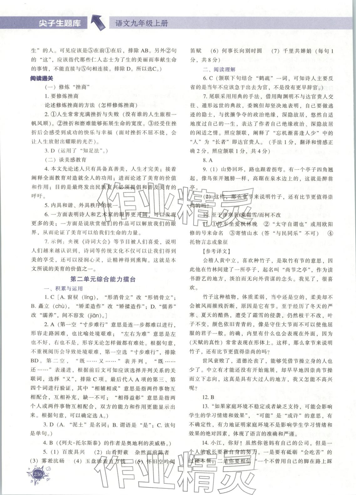 2025年尖子生题库九年级语文上册人教版 第8页