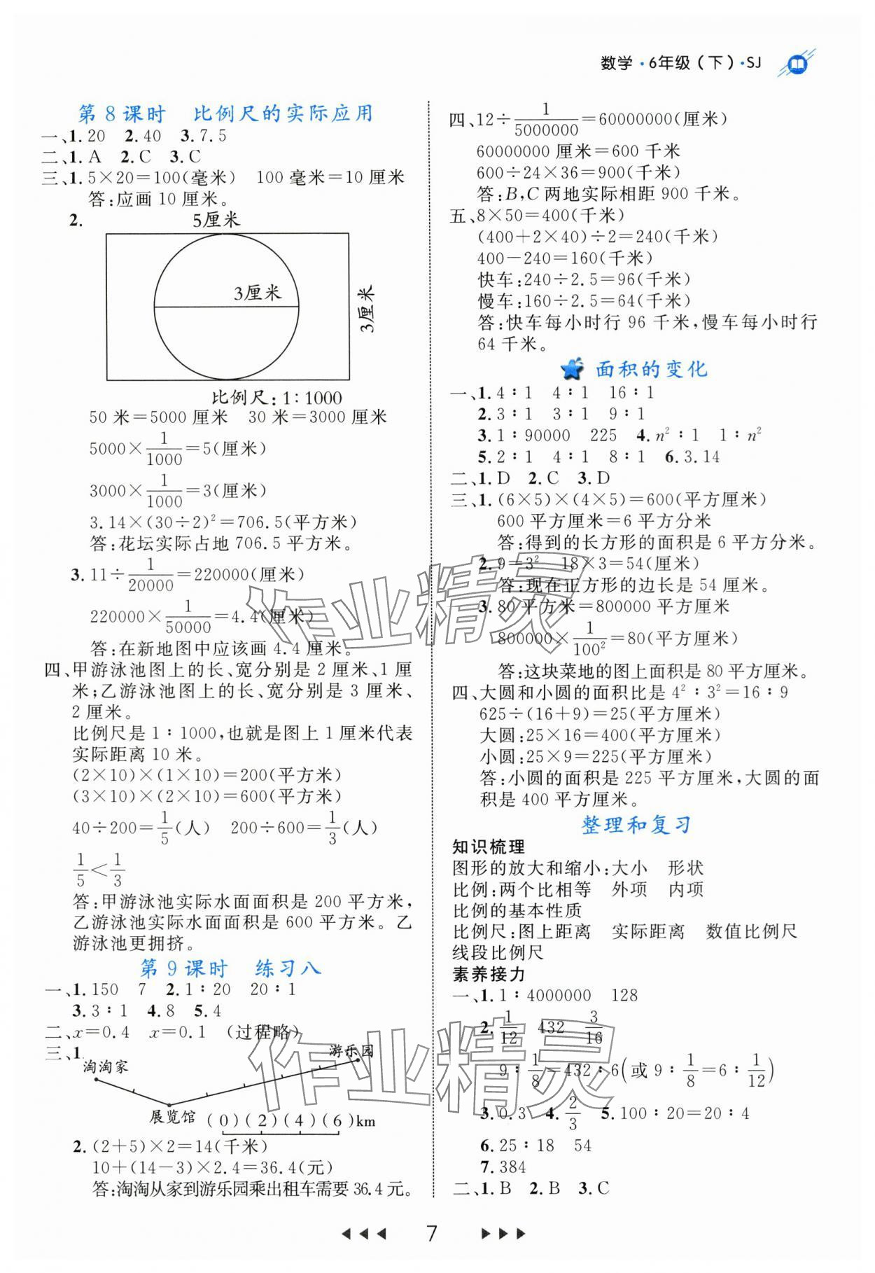 2024年细解巧练六年级数学下册苏教版 参考答案第7页