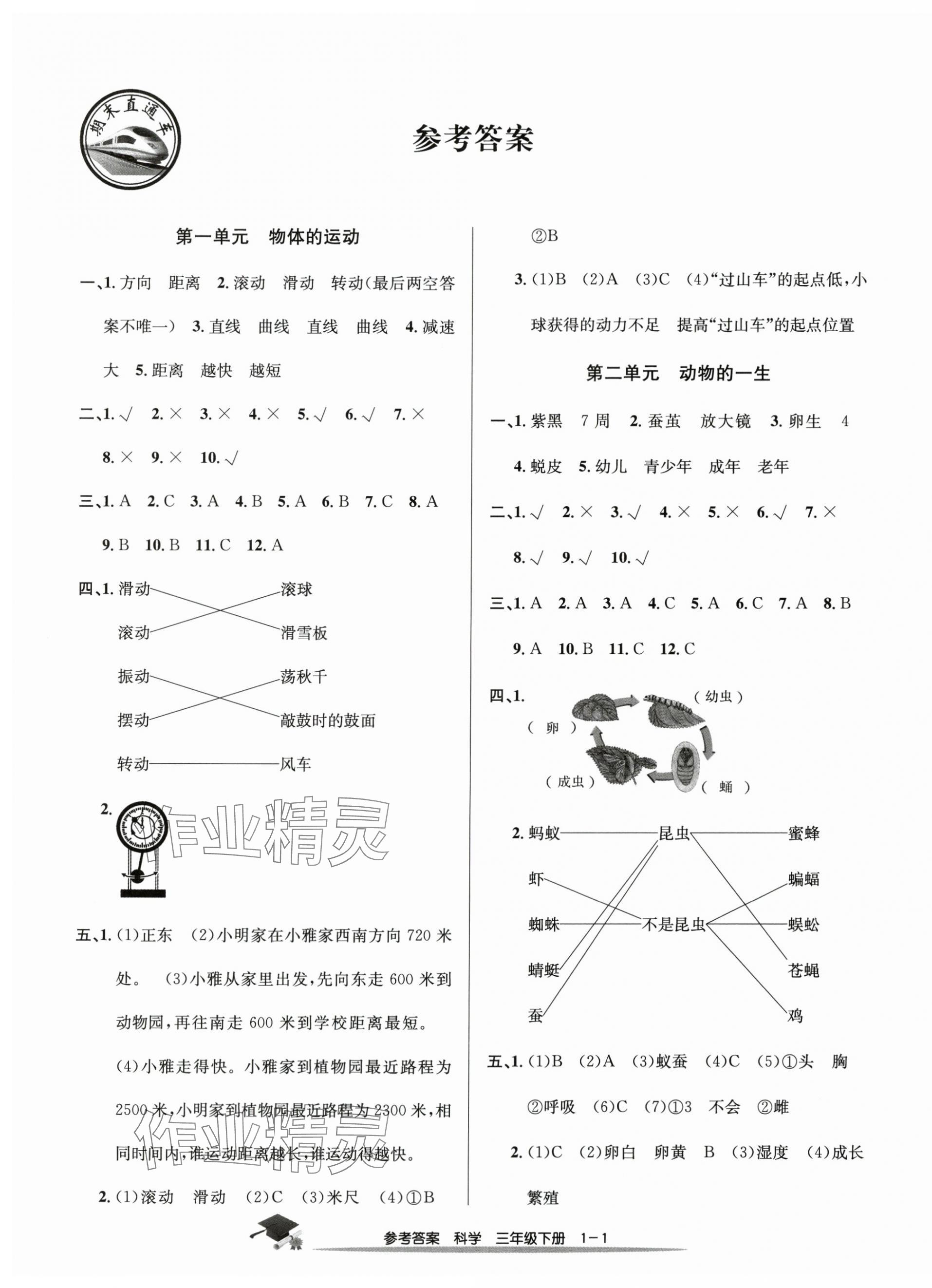 2025年期末直通車三年級科學下冊浙教版 參考答案第1頁