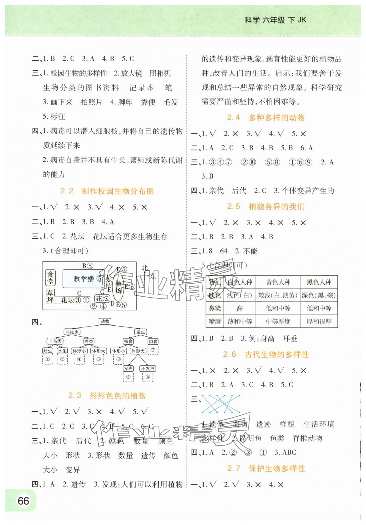 2024年黃岡同步練一日一練六年級(jí)科學(xué)下冊(cè)教科版 參考答案第2頁(yè)