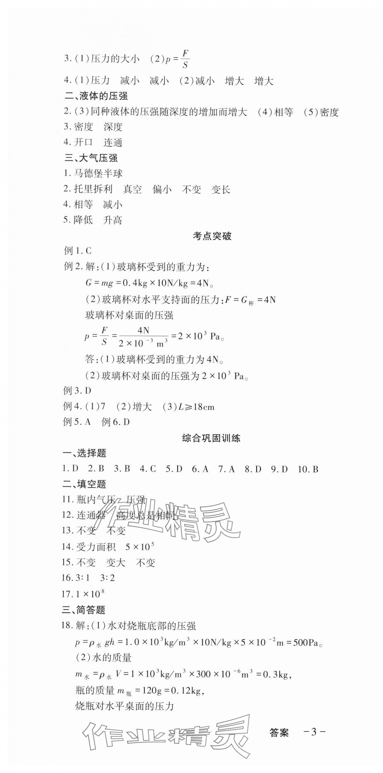 2025年本土假期作业巩固训练八年级物理教科版 第4页