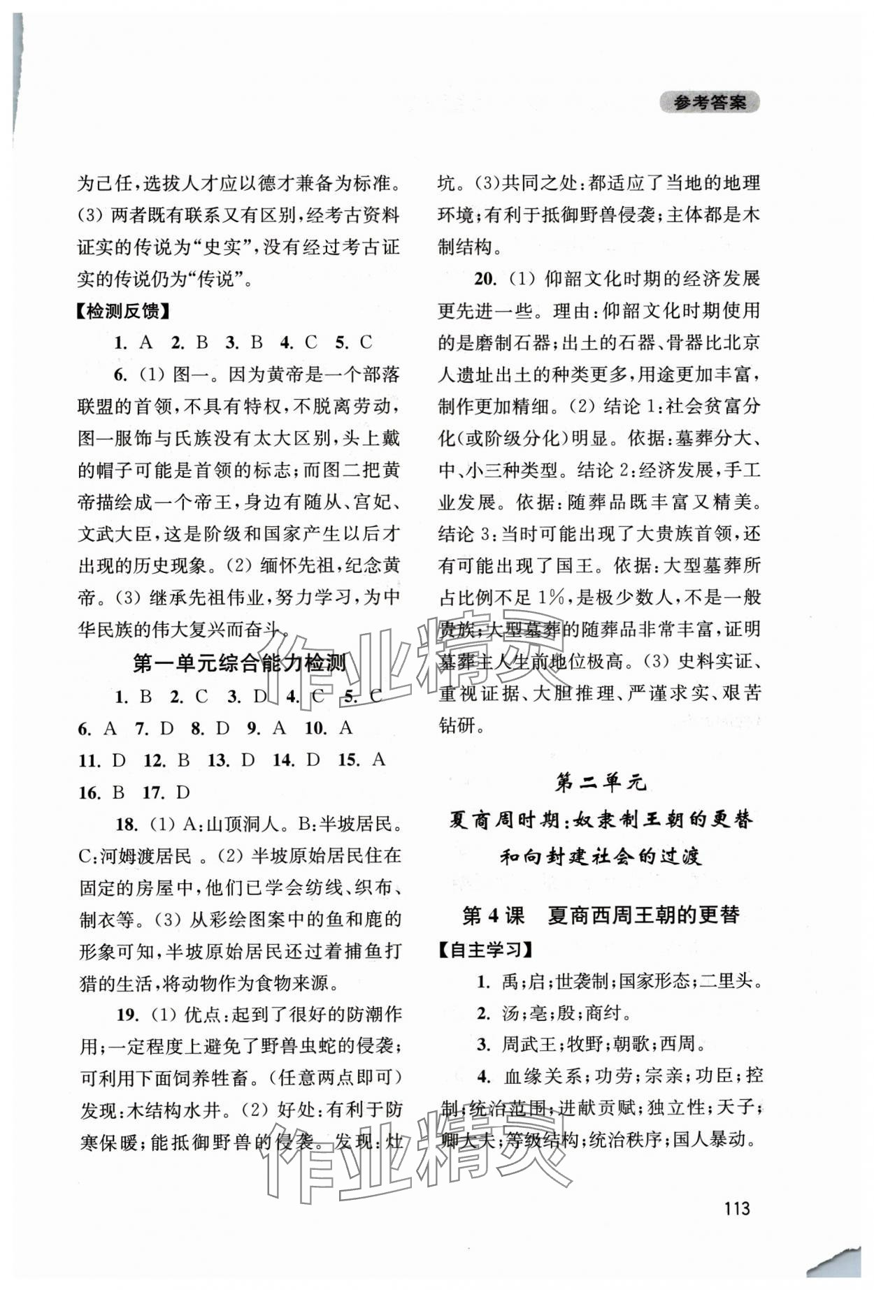 2025年新课程实践与探究丛书七年级历史上册人教版江苏专版 第3页
