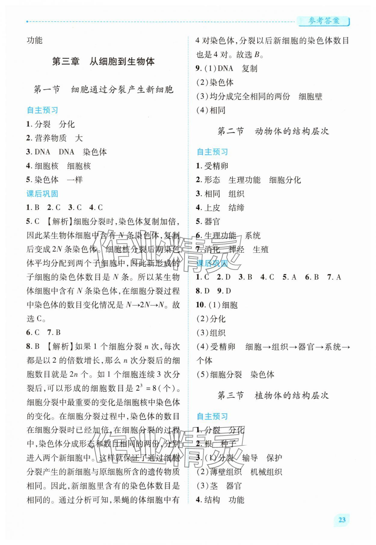 2025年績優學案七年級生物上冊人教版 參考答案第3頁
