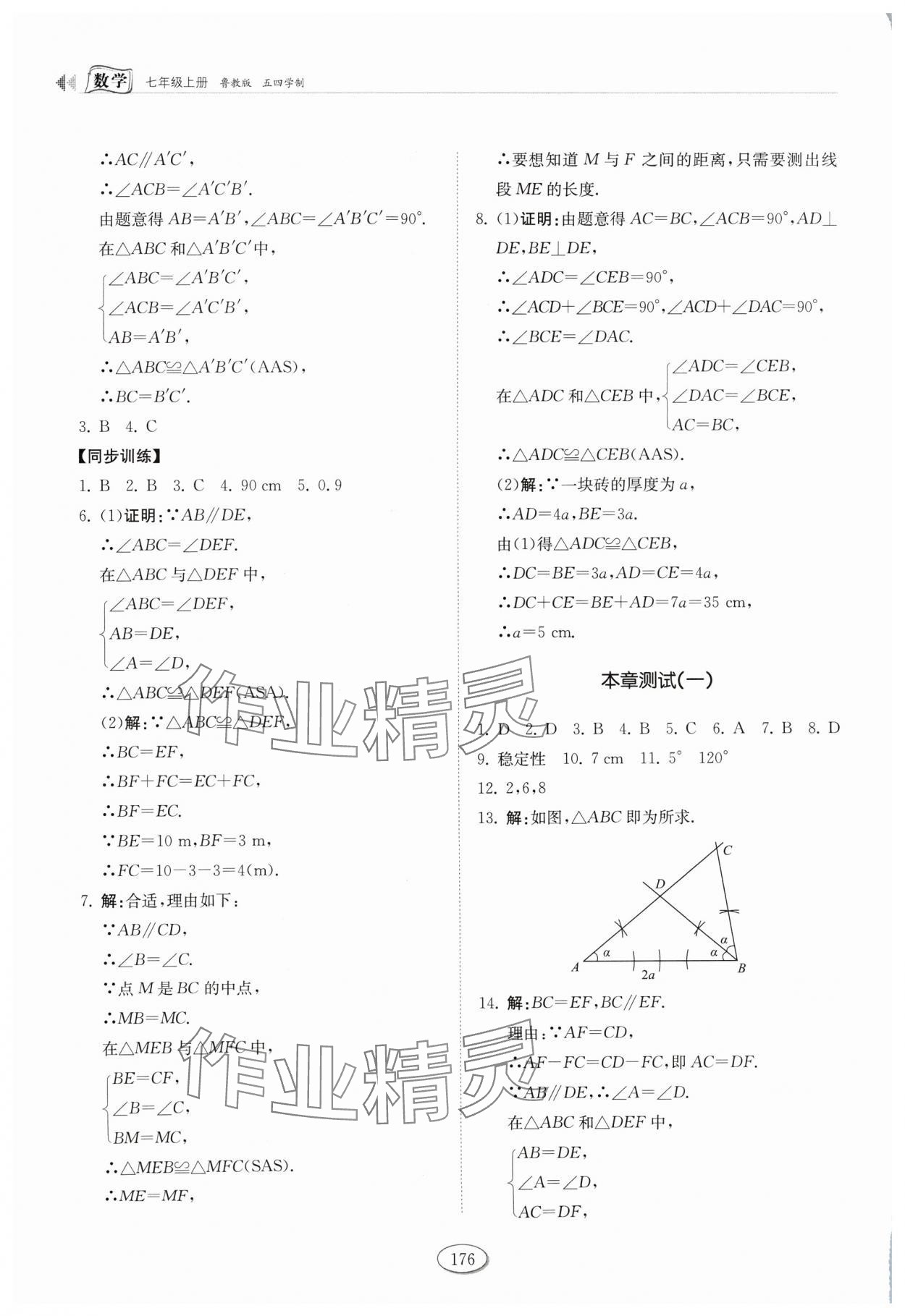 2024年同步練習冊山東科學技術出版社七年級數學上冊魯教版 參考答案第5頁