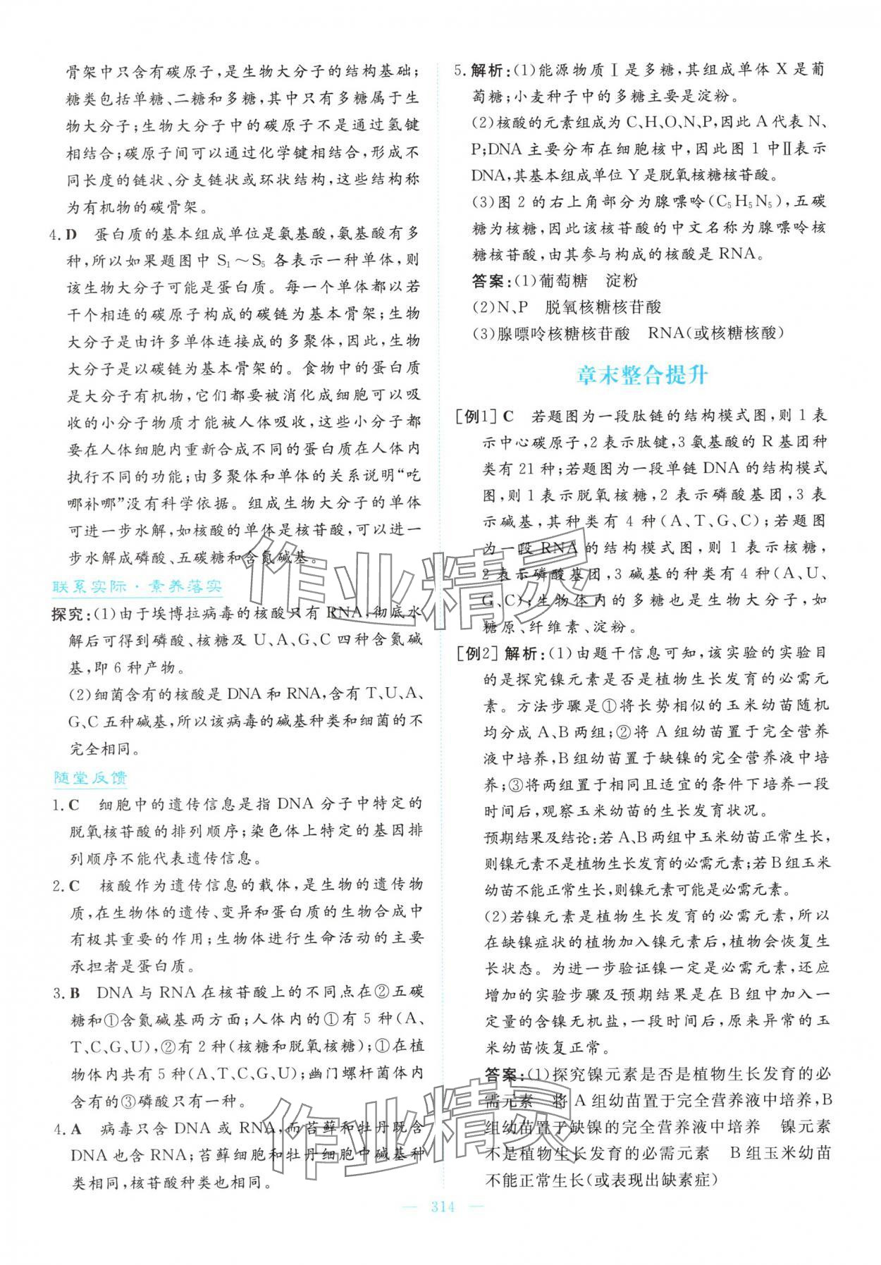 2025年高中同步测控全优设计优佳学案高中生物必修1人教版&nbsp;参考答案第12页