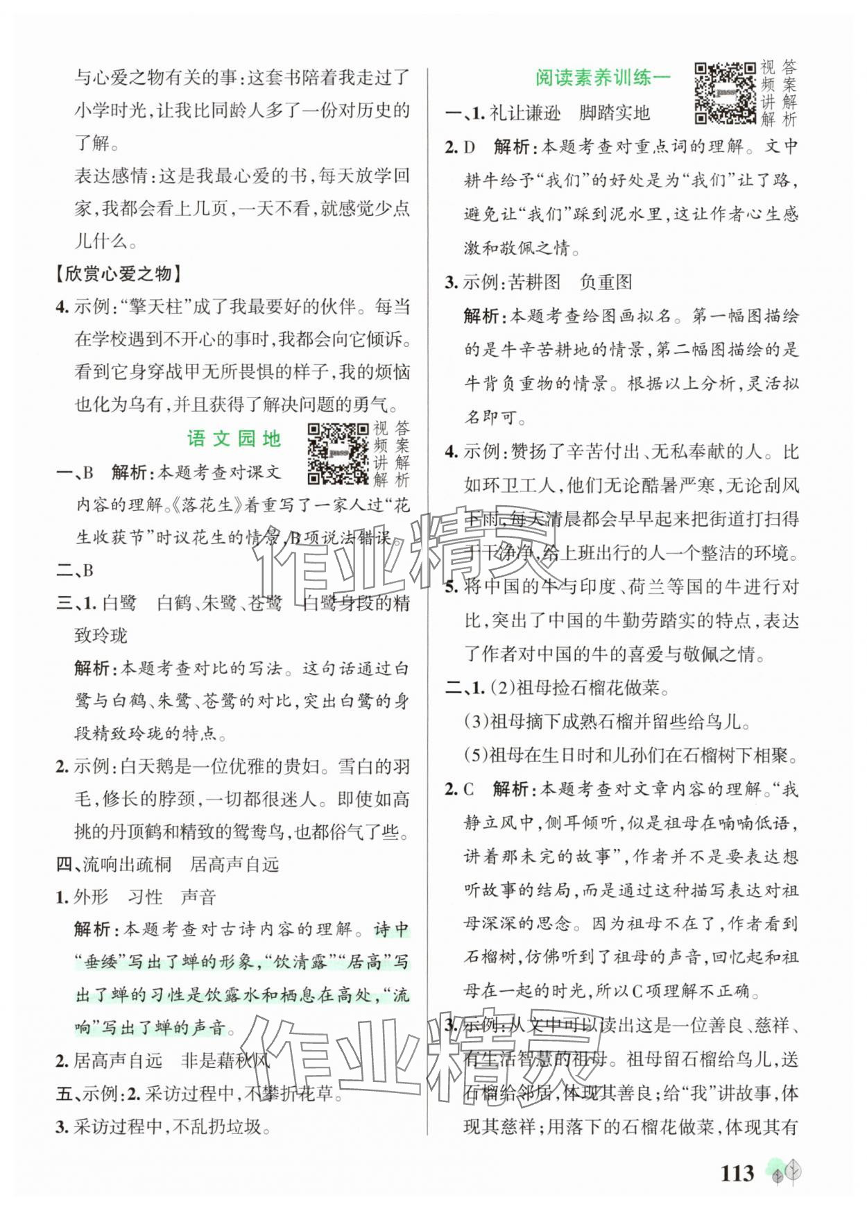 2025年綠卡提優(yōu)特訓(xùn)五年級(jí)語文上冊(cè)人教版&nbsp;參考答案第5頁
