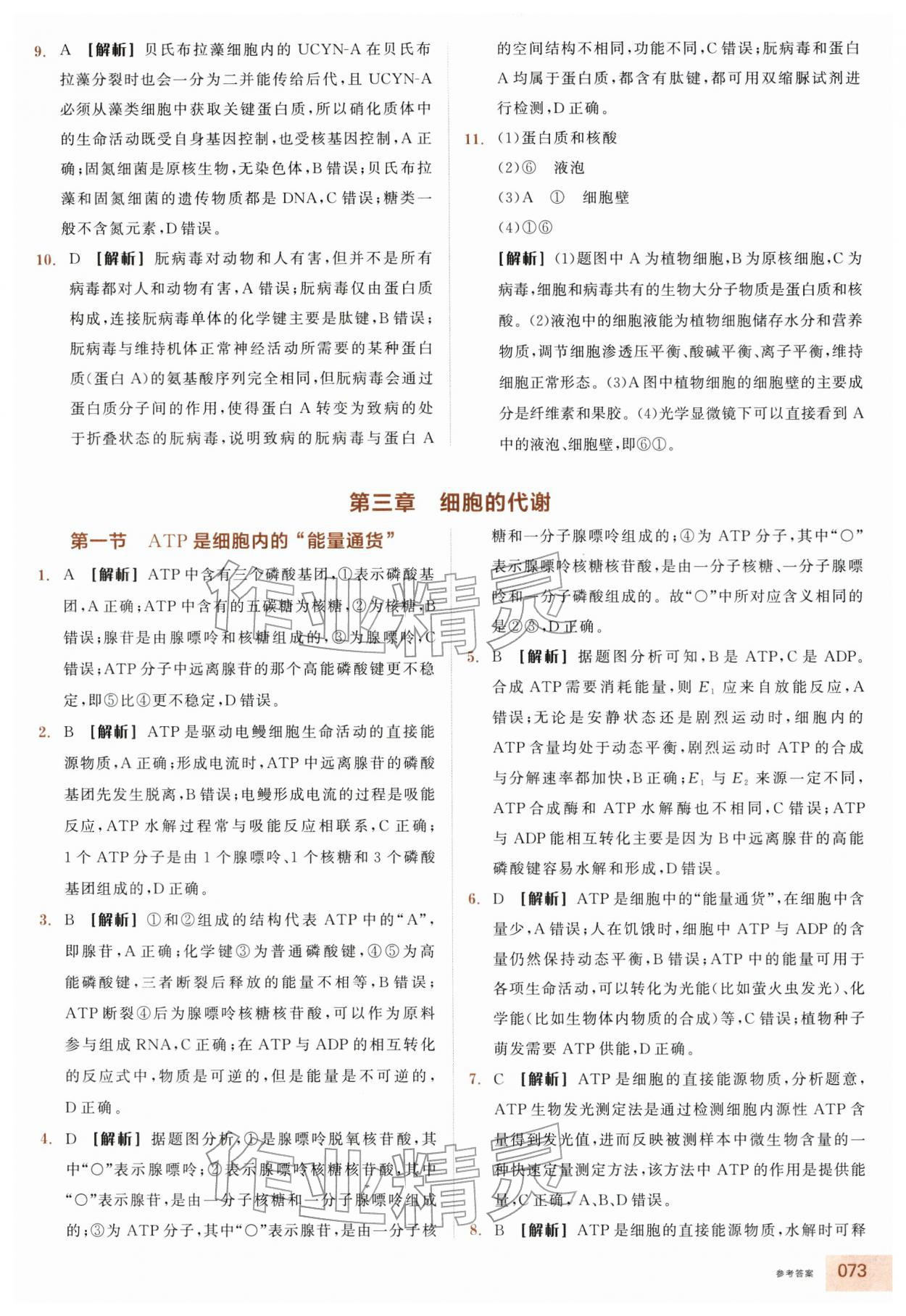 2025年全品智能作业高中生物必修1浙科版浙江专版 第13页