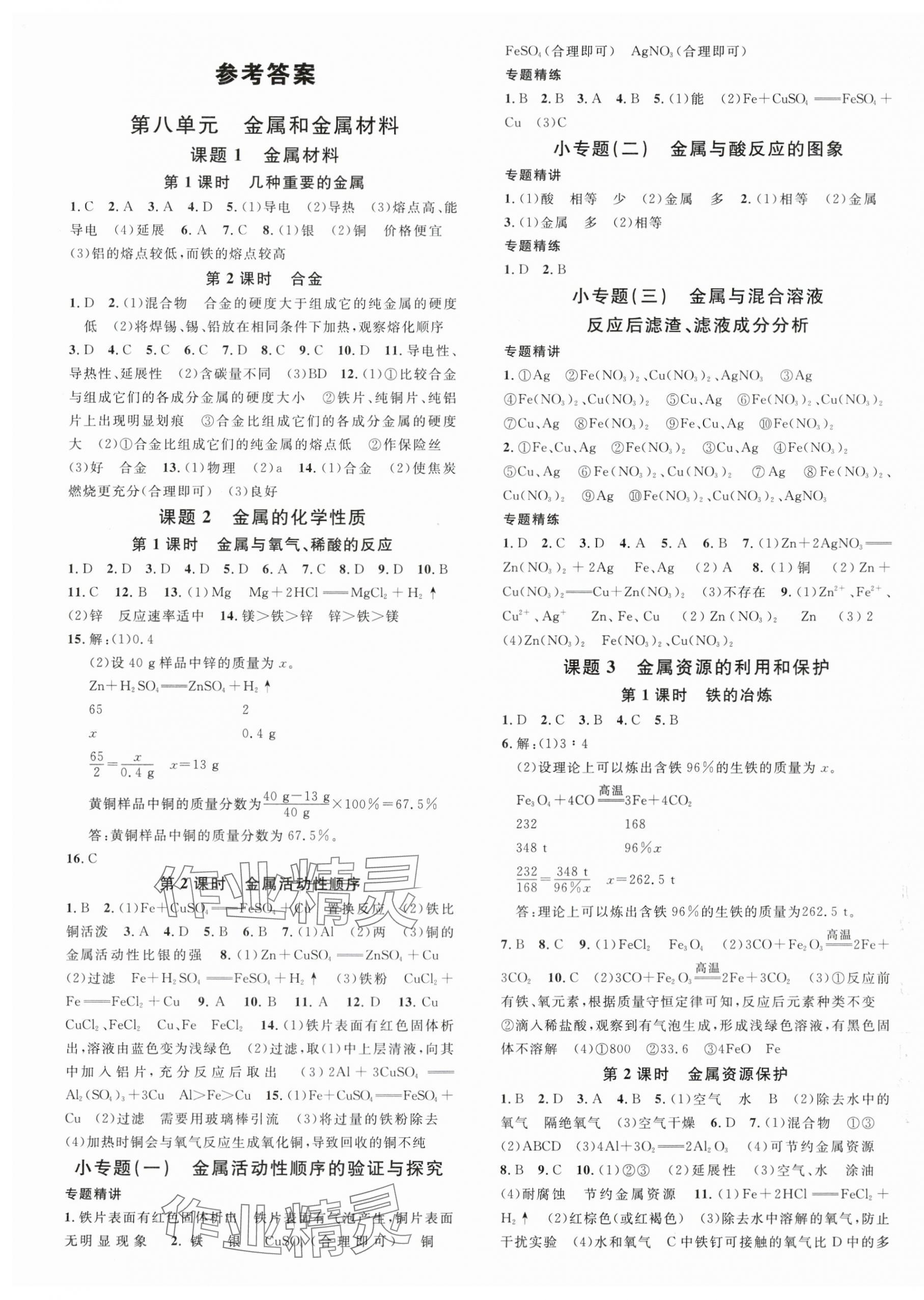 2024年名校課堂九年級(jí)化學(xué)下冊(cè)人教版3陜西專版 第1頁(yè)