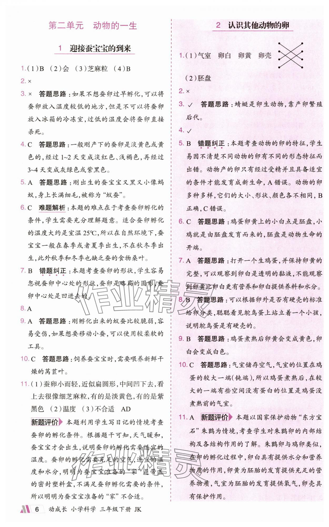 2025年动成长题题体现核心素养三年级科学下册教科版&nbsp;参考答案第6页