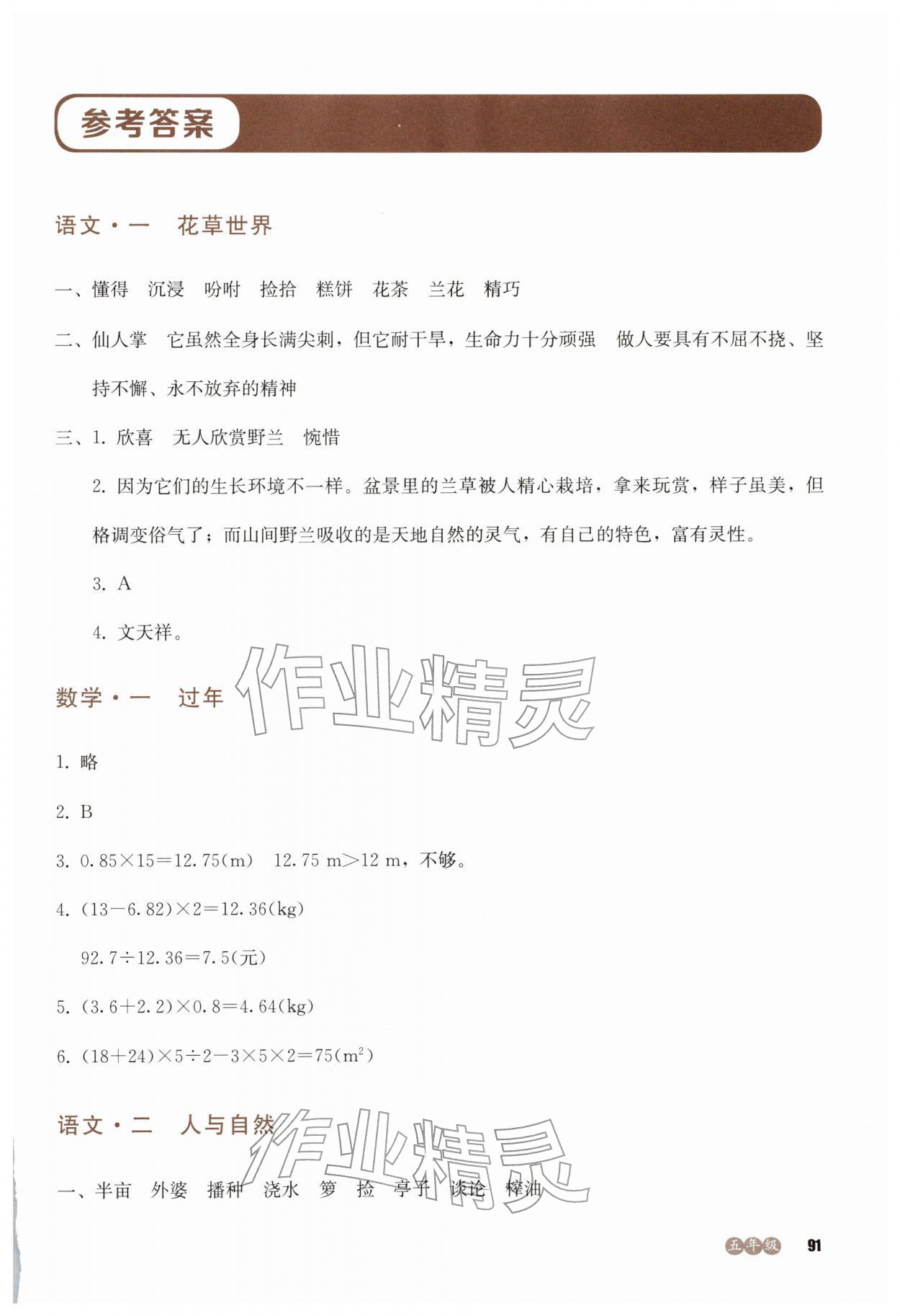 2026年全科拓展训练冬令营五年级&nbsp;第1页