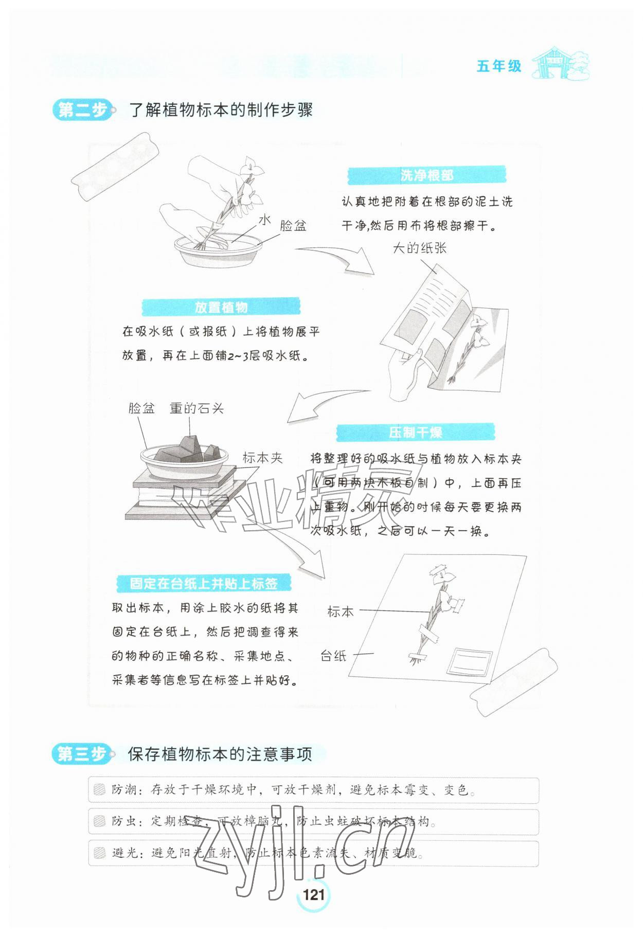 2026年小学生创优暑假作业吉林教育出版社五年级&nbsp;第1页