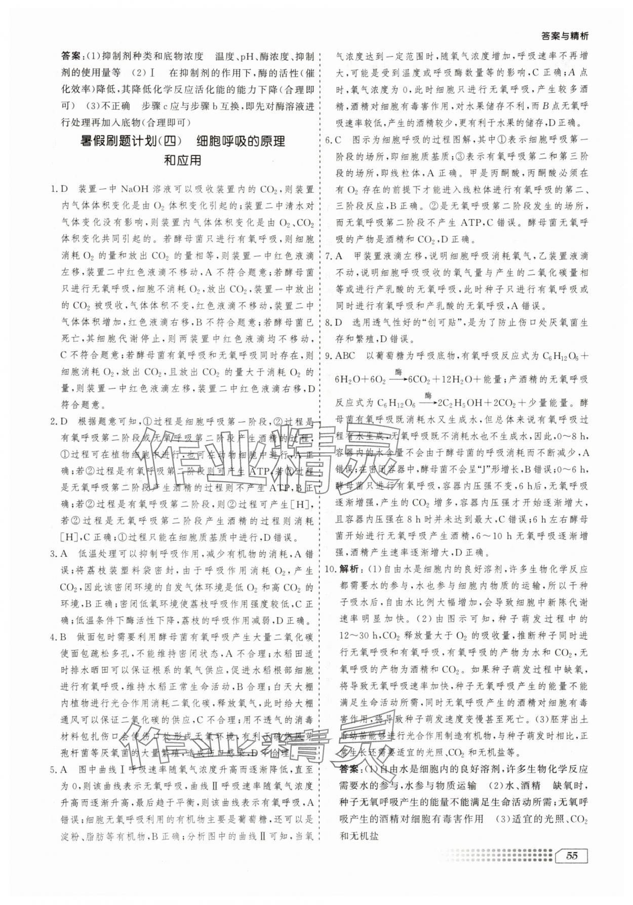 2025年暑假刷題計(jì)劃高二生物&nbsp;第3頁