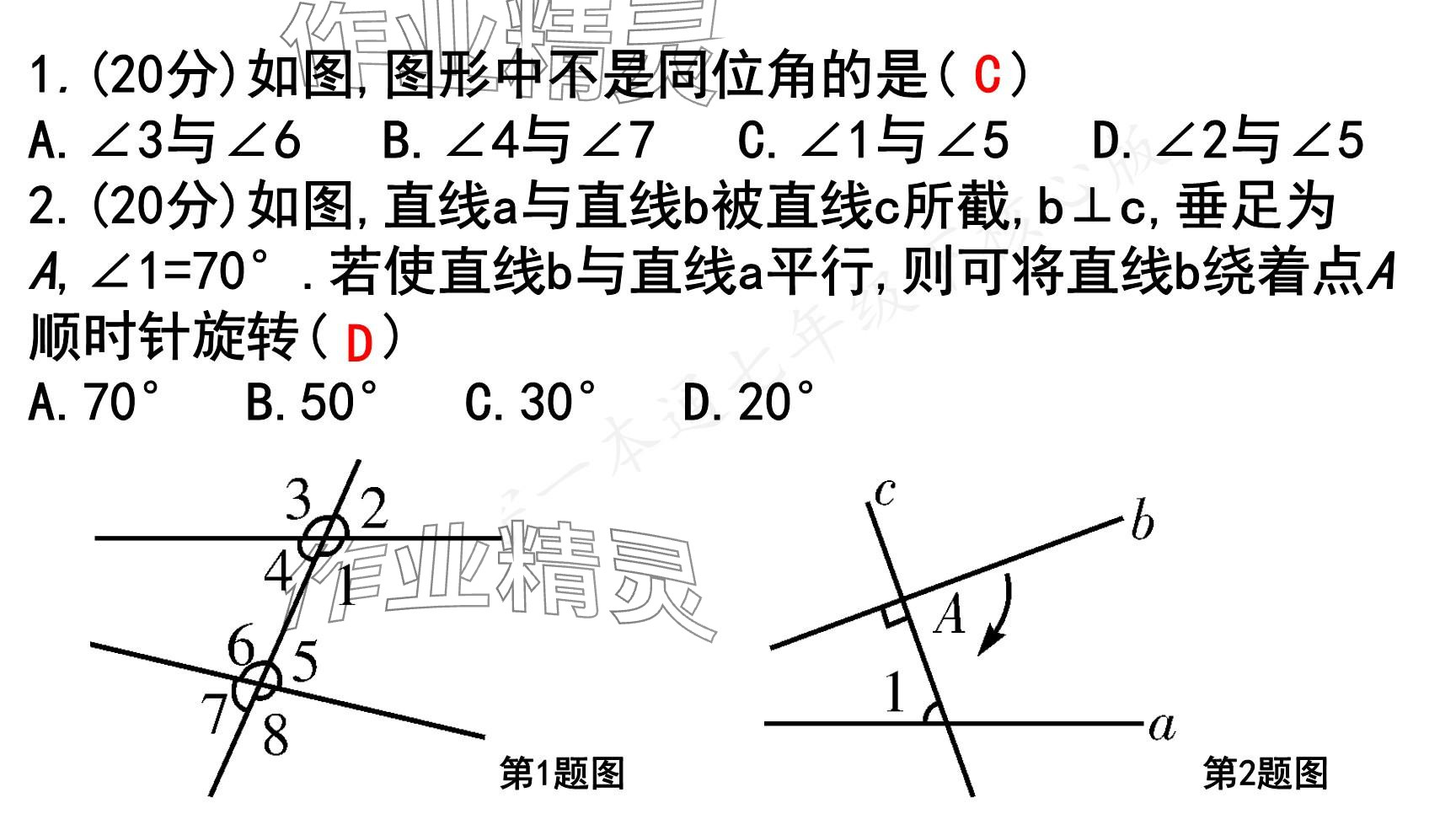 2025年一本通武漢出版社七年級數(shù)學(xué)下冊北師大版核心版 參考答案第55頁