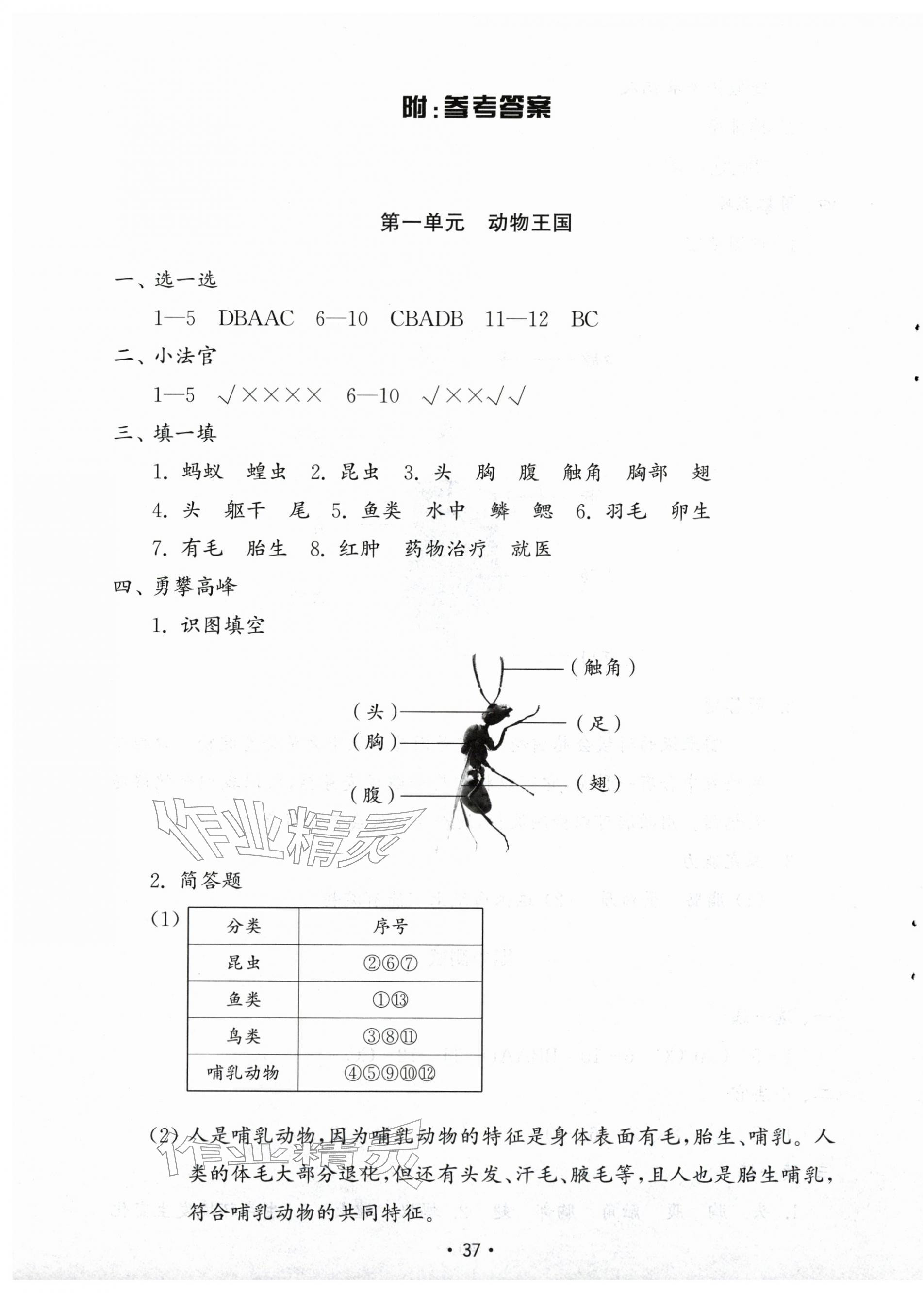 2025年小学基础训练山东教育出版社四年级科学上册青岛版五四制烟台专版 第1页
