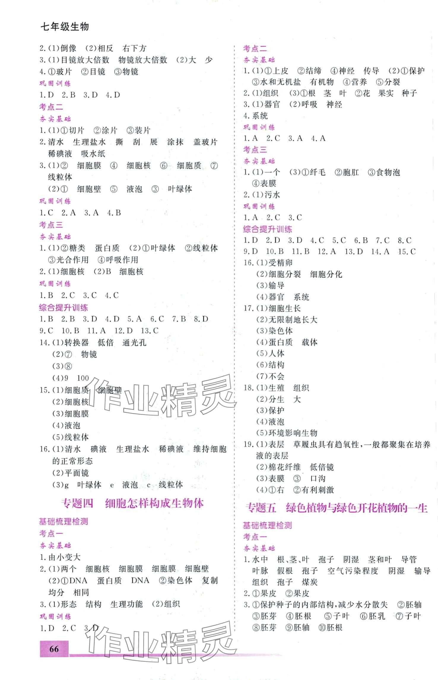 2024年寒假作业内蒙古大学出版社七年级生物 第2页