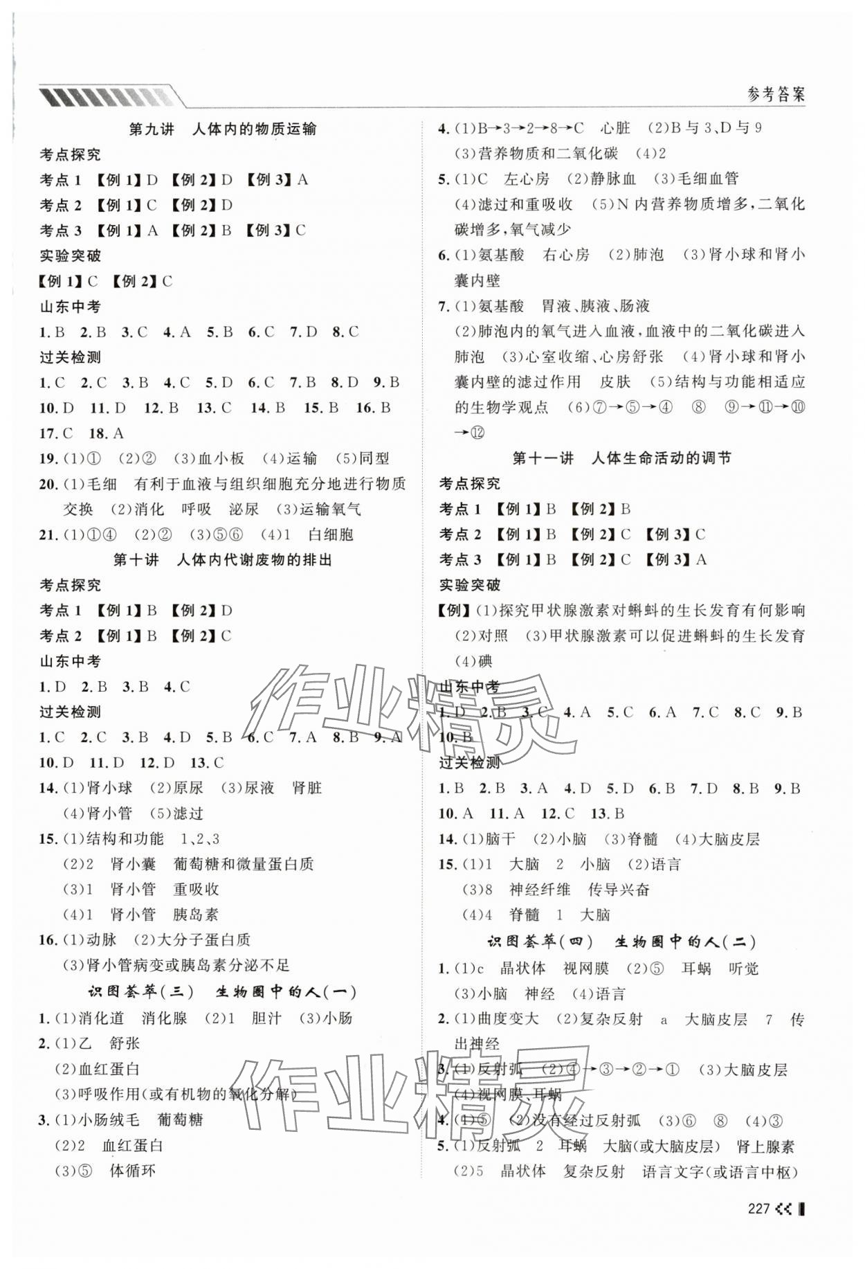 2024年初中总复习手册山东人民出版社生物济南版 第3页
