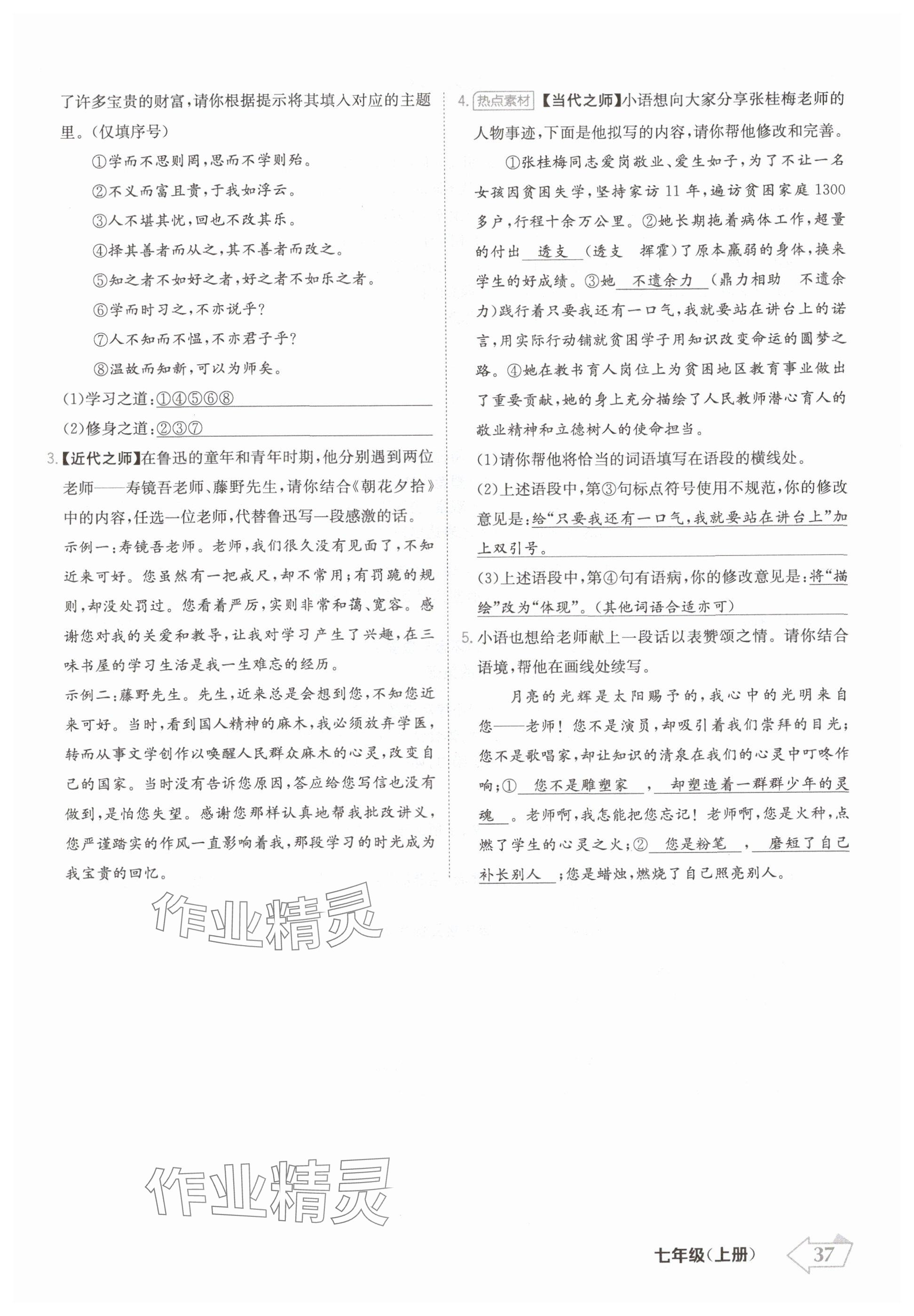 2024年金牌學(xué)練測(cè)七年級(jí)語(yǔ)文上冊(cè)人教版 參考答案第37頁(yè)