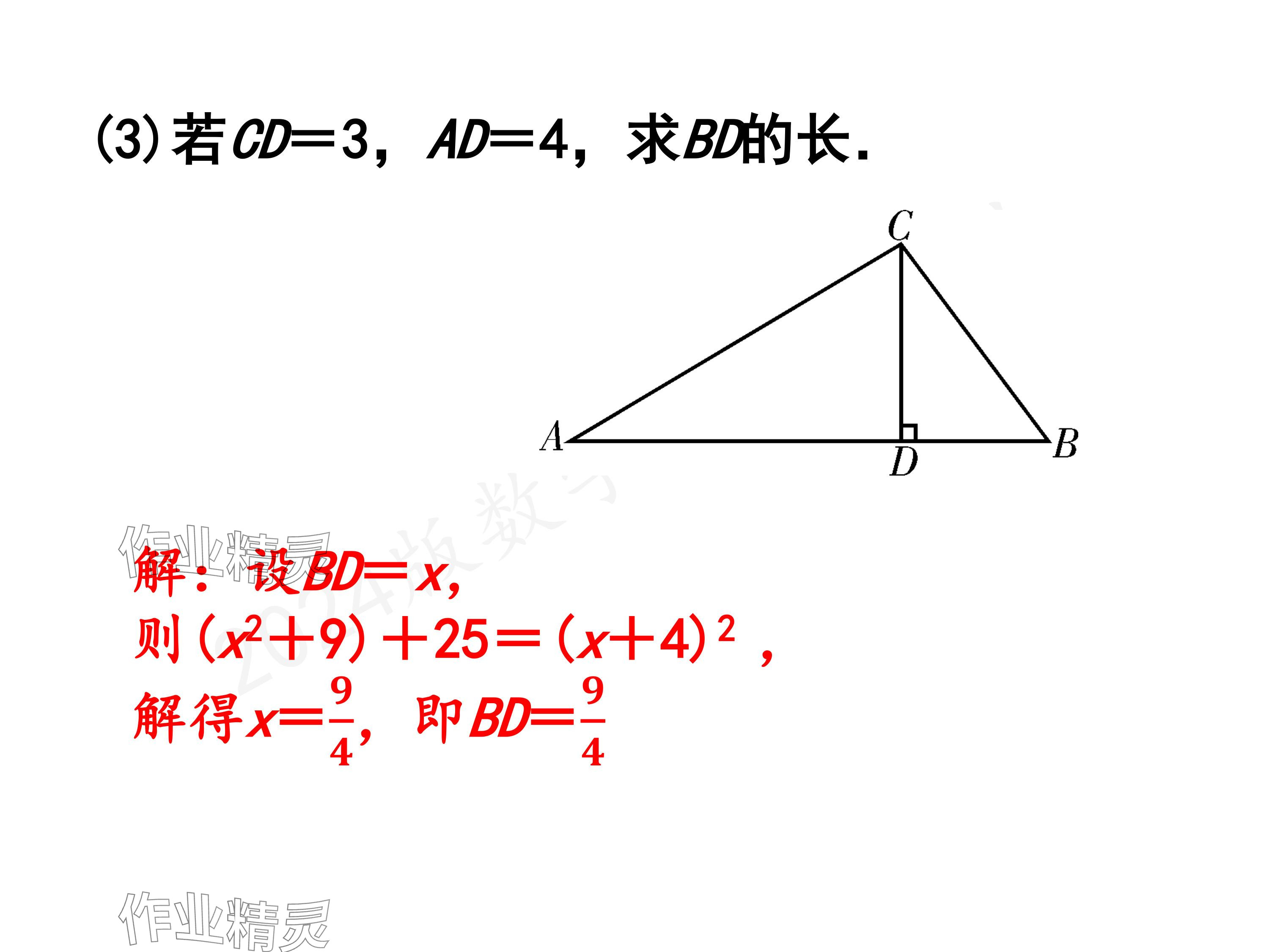 2024年一本通武漢出版社八年級數(shù)學(xué)上冊北師大版精簡版 參考答案第7頁