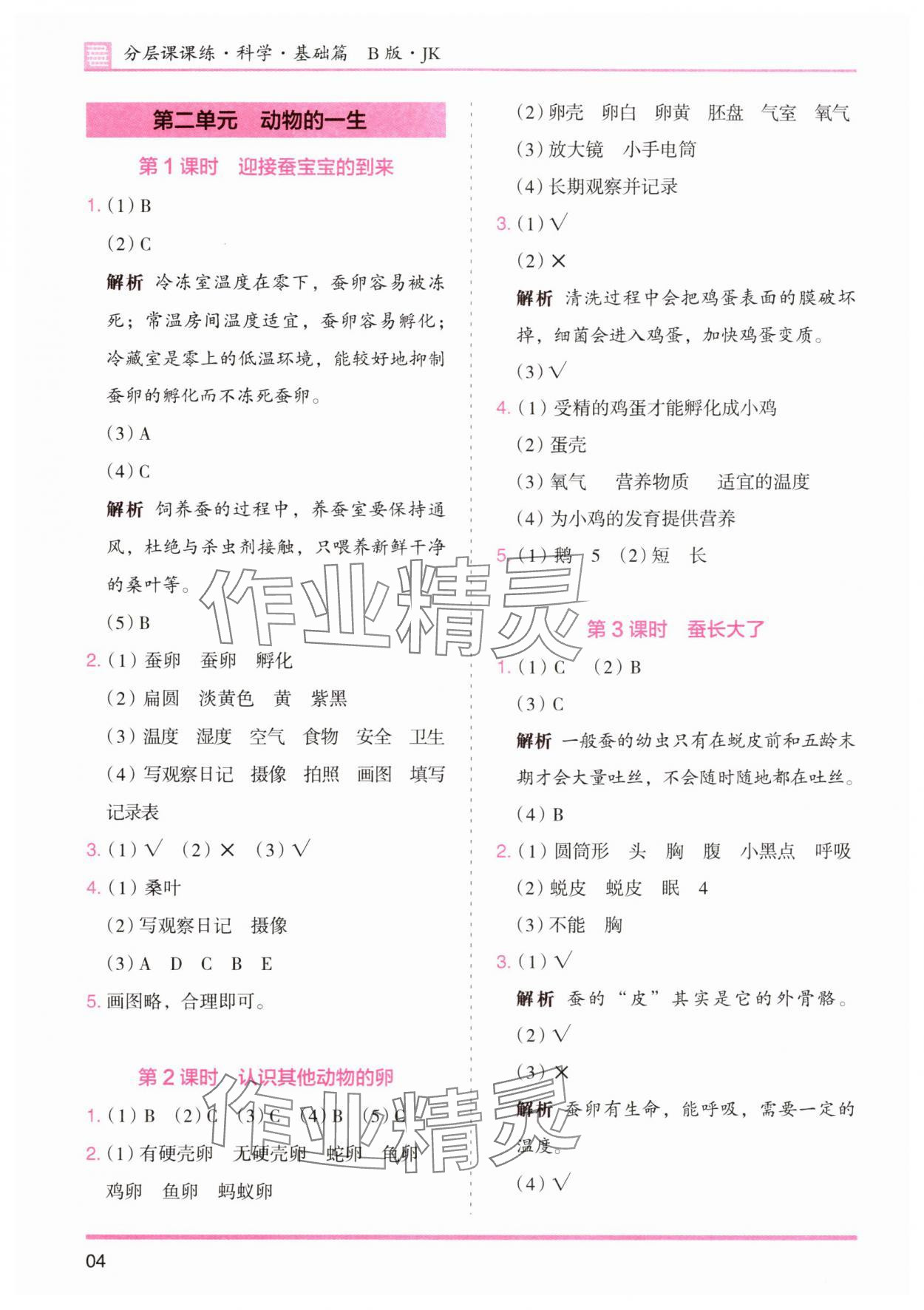 2025年木頭馬分層課課練三年級科學(xué)下冊教科版 第4頁