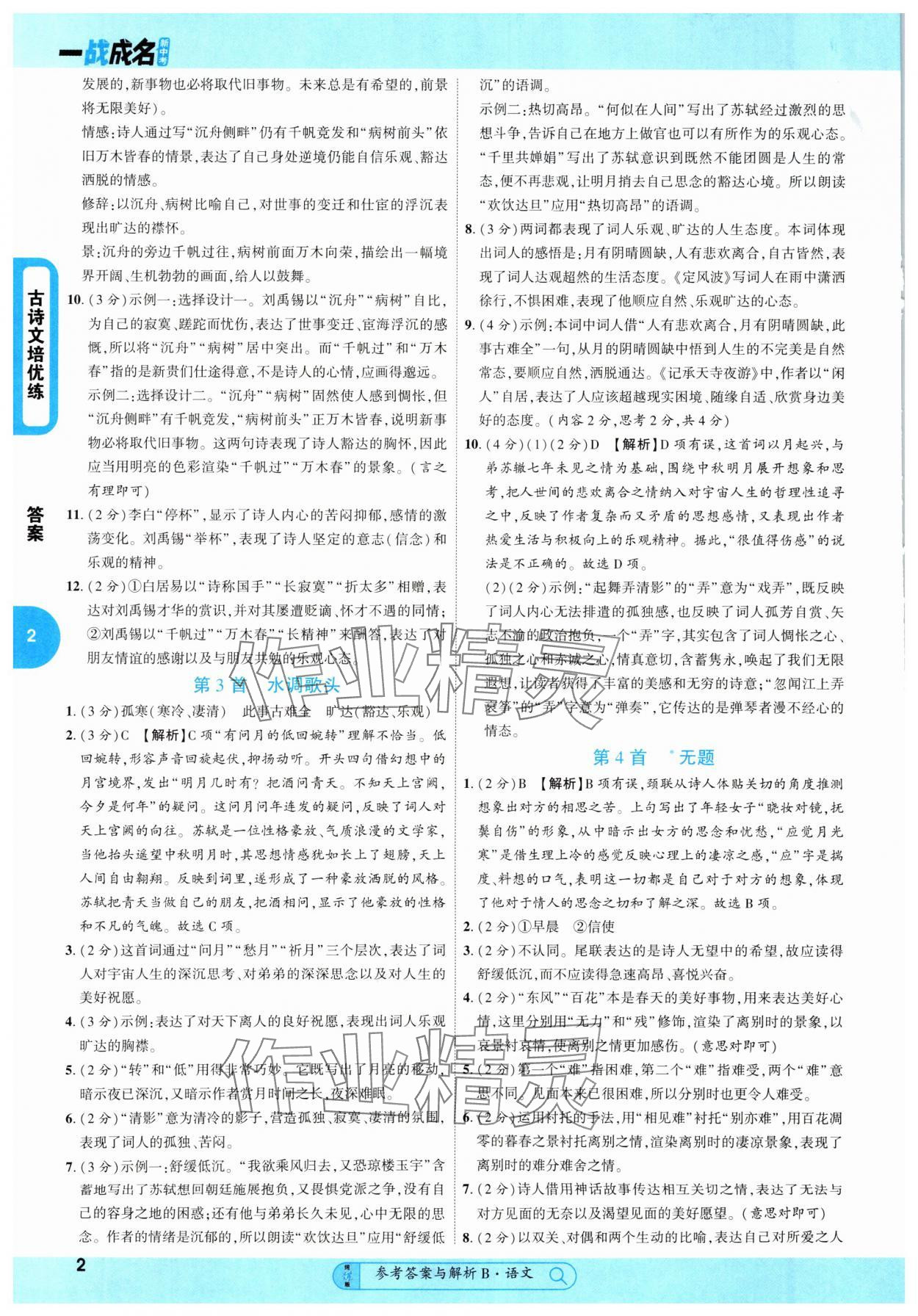 2025年纯练版总复习语文 第2页