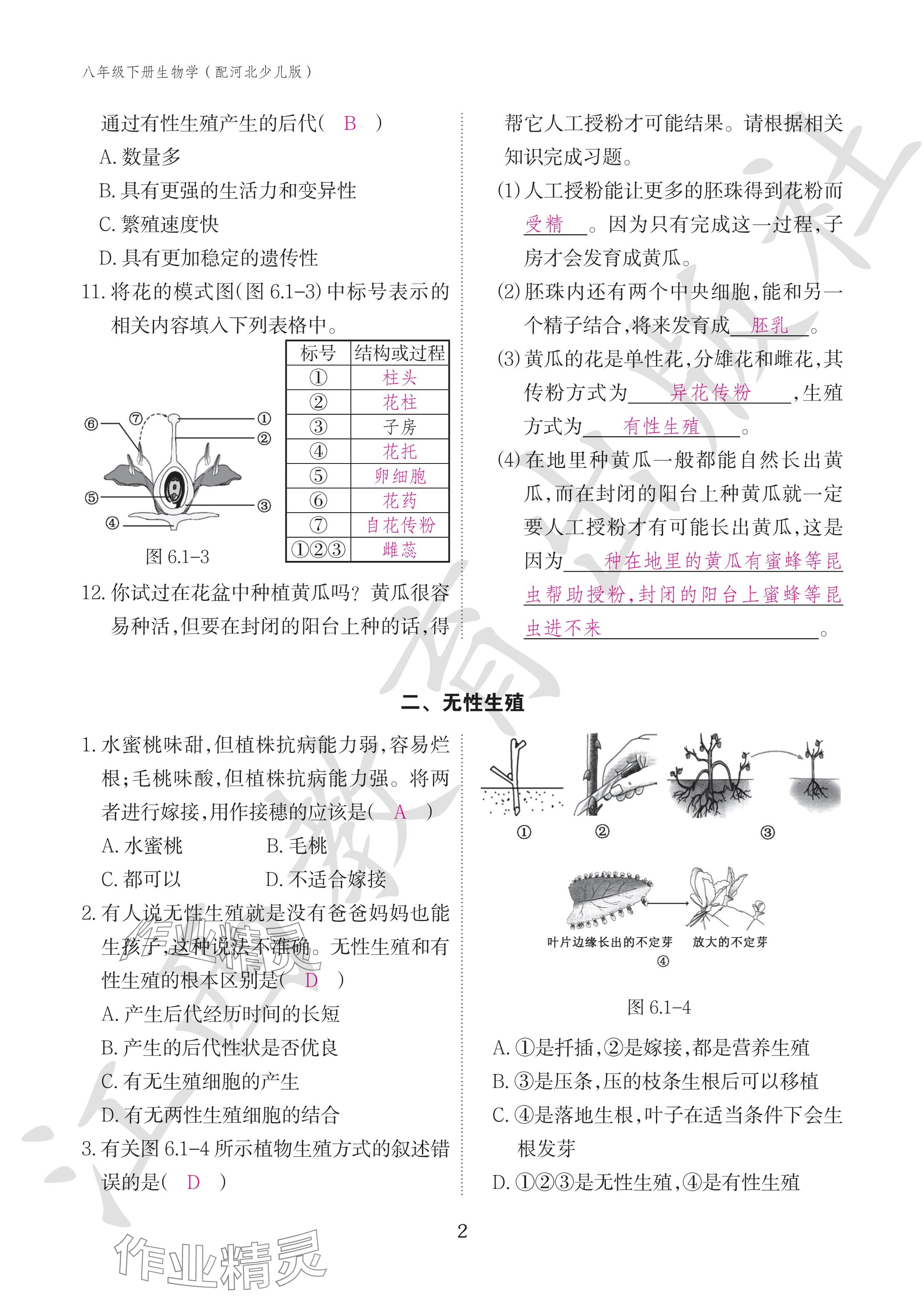 2024年作业本江西教育出版社八年级生物下册冀少版 参考答案第2页