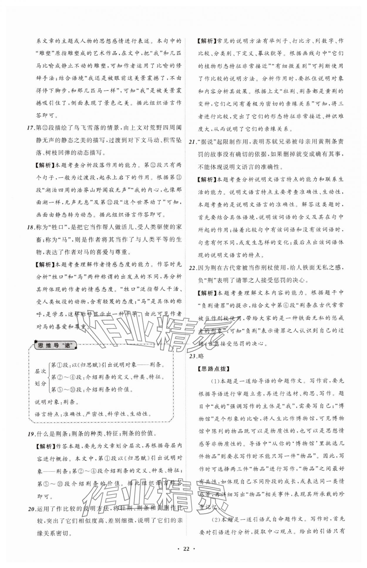 2025年中考必備遼寧師范大學(xué)出版社語(yǔ)文遼寧專版 參考答案第22頁(yè)