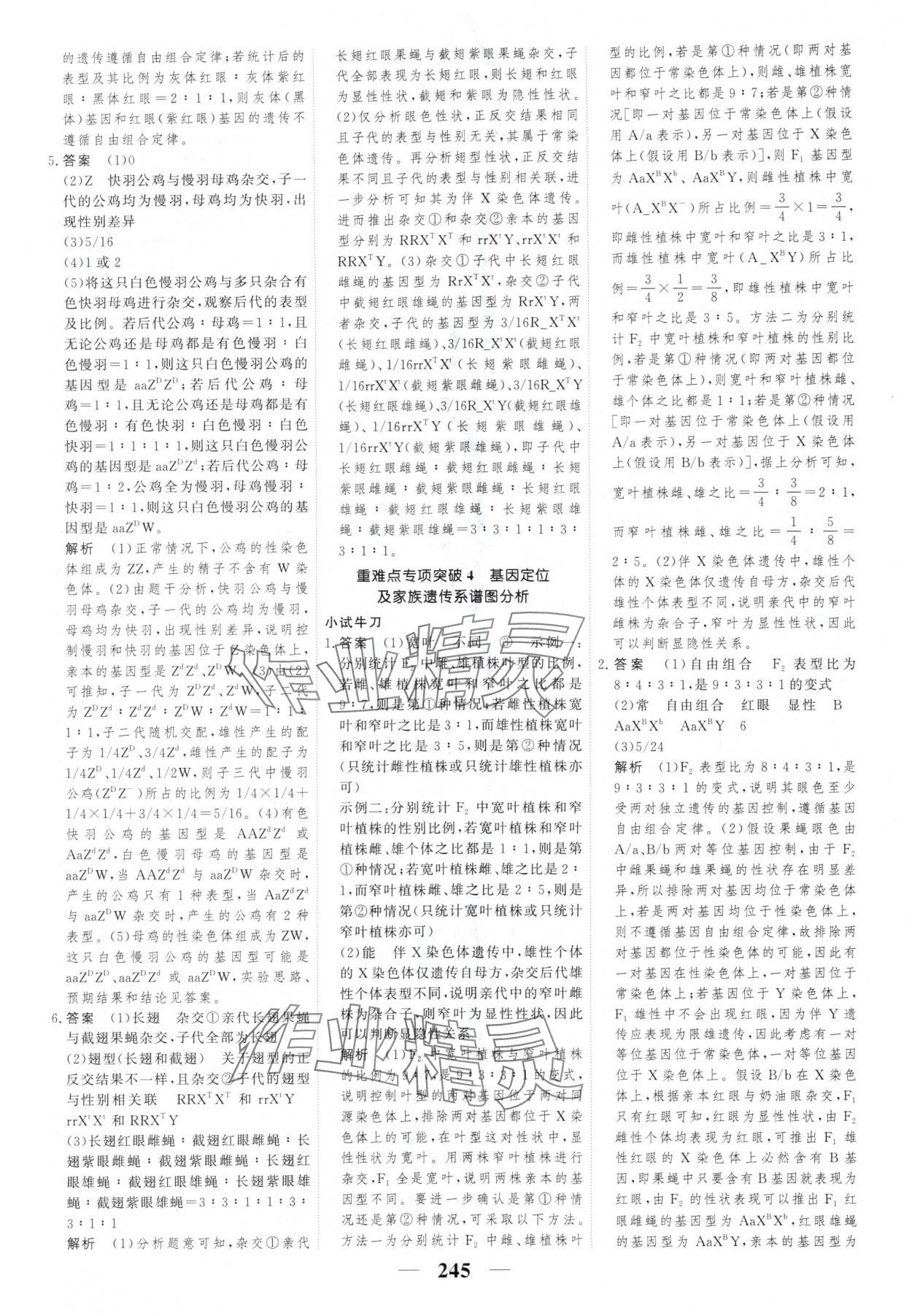 2025年新教材同步學案高考調研生物必修2人教版 第15頁