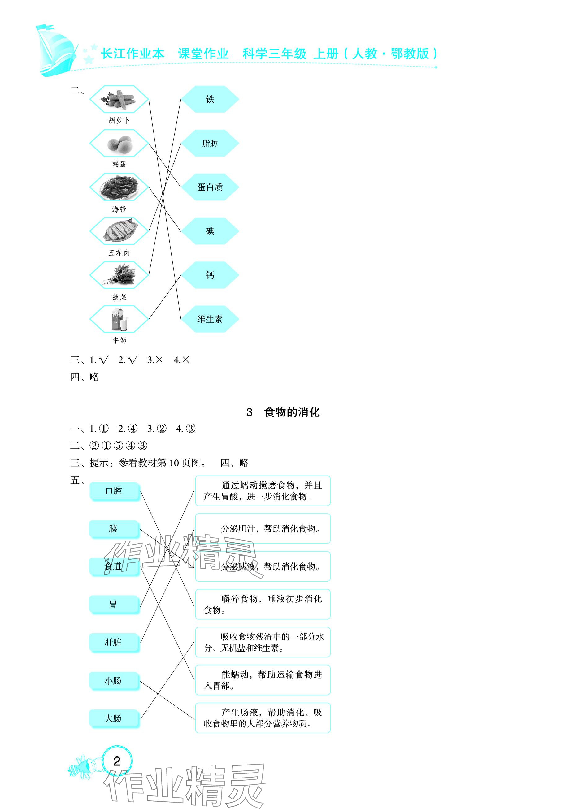 2023年長江作業(yè)本課堂作業(yè)三年級科學(xué)上冊鄂教版 參考答案第2頁