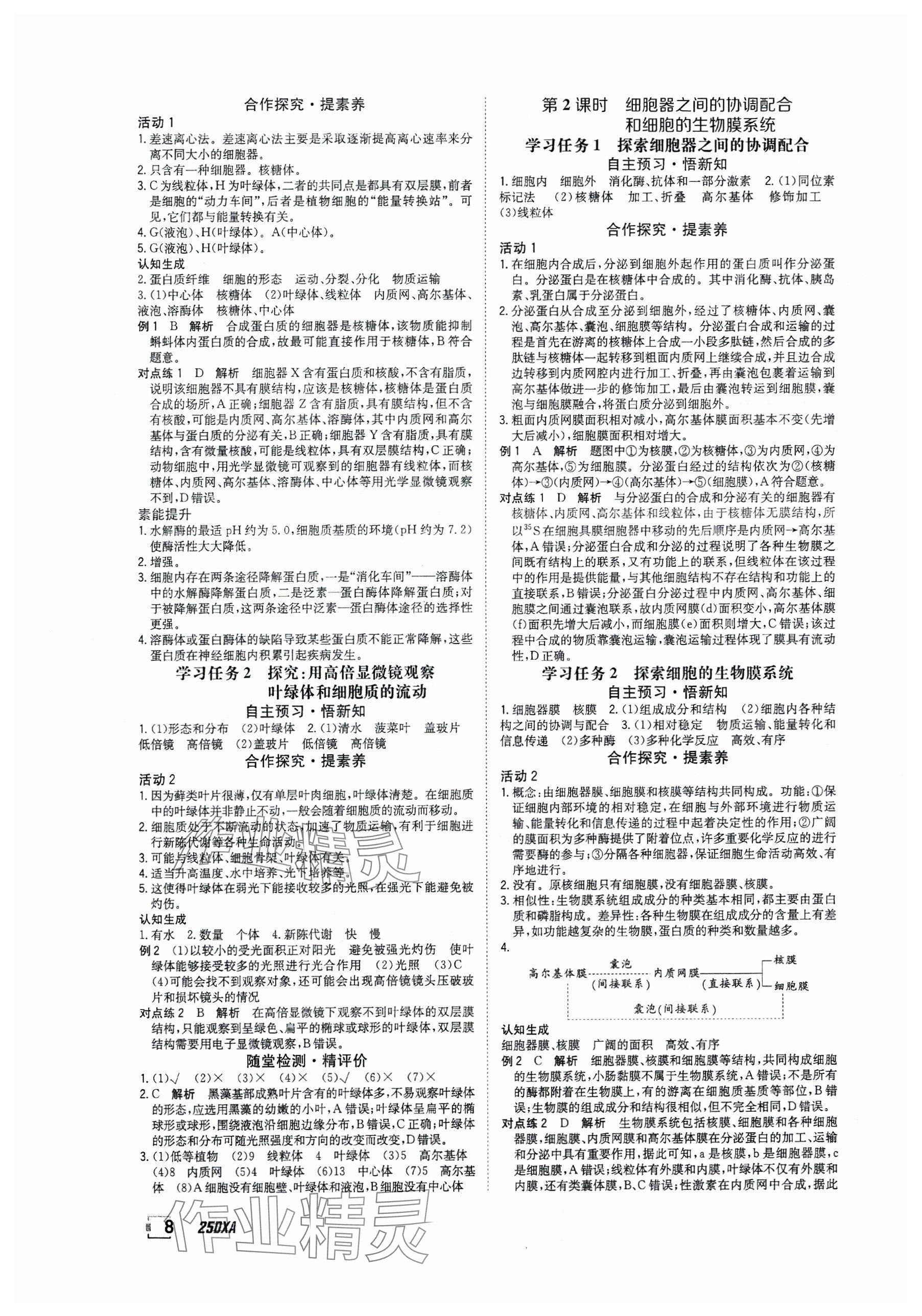 2024年金太阳导学案高中生物必修1人教版 参考答案第8页