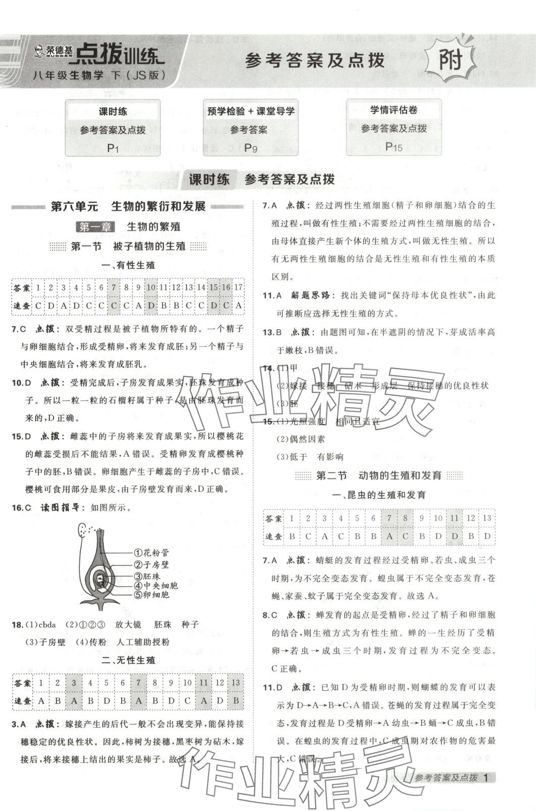 2025年點撥訓練八年級生物下冊蘇教版 第1頁