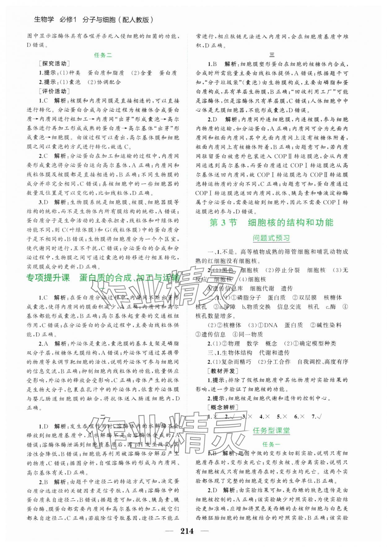 2024年點(diǎn)金訓(xùn)練精講巧練高中生物必修1人教版 第10頁(yè)