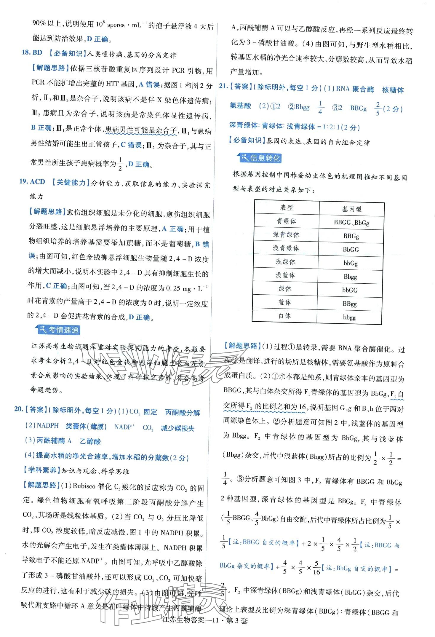 2024年金考卷45套匯編高中生物通用版江蘇專版 第13頁