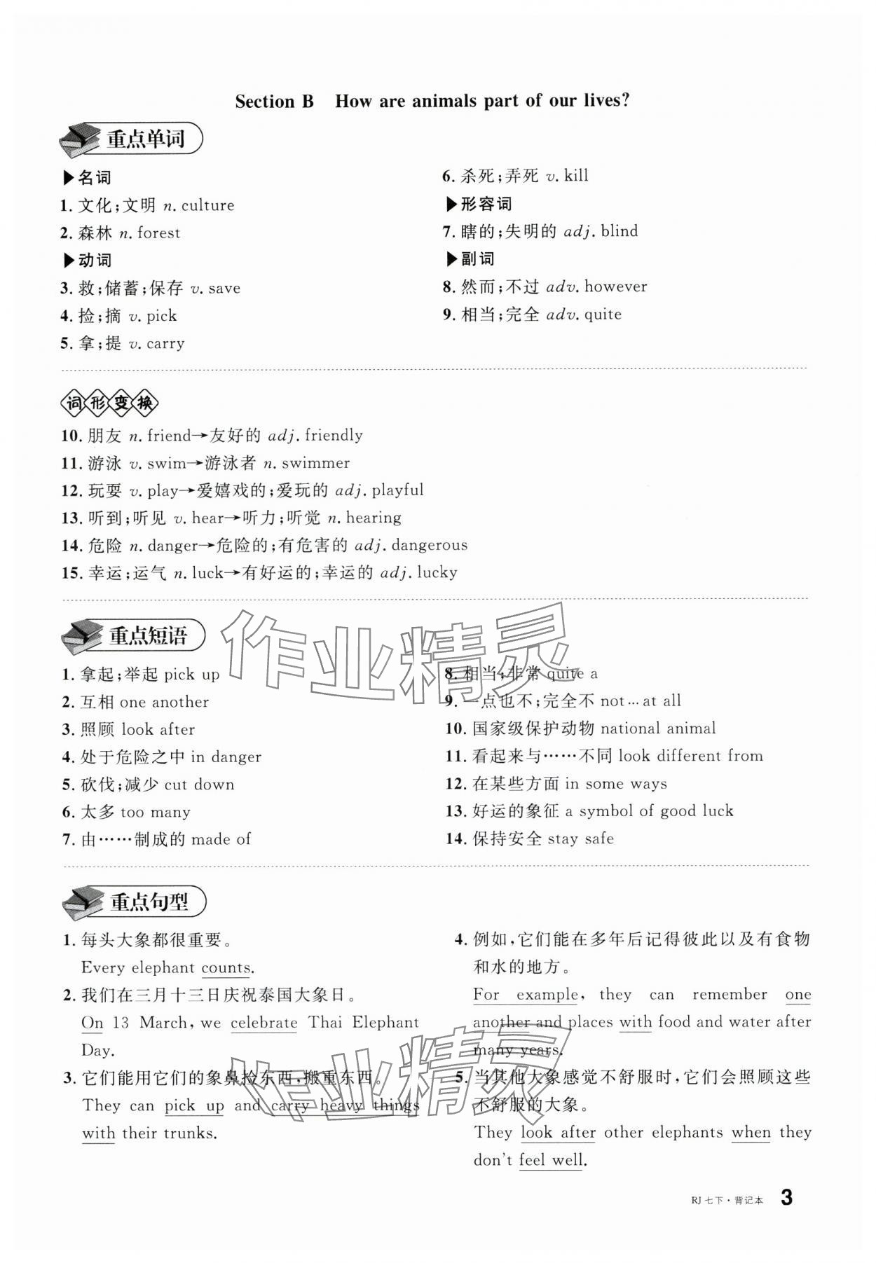 2025年名校課堂七年級英語下冊人教版湖南專版 參考答案第15頁