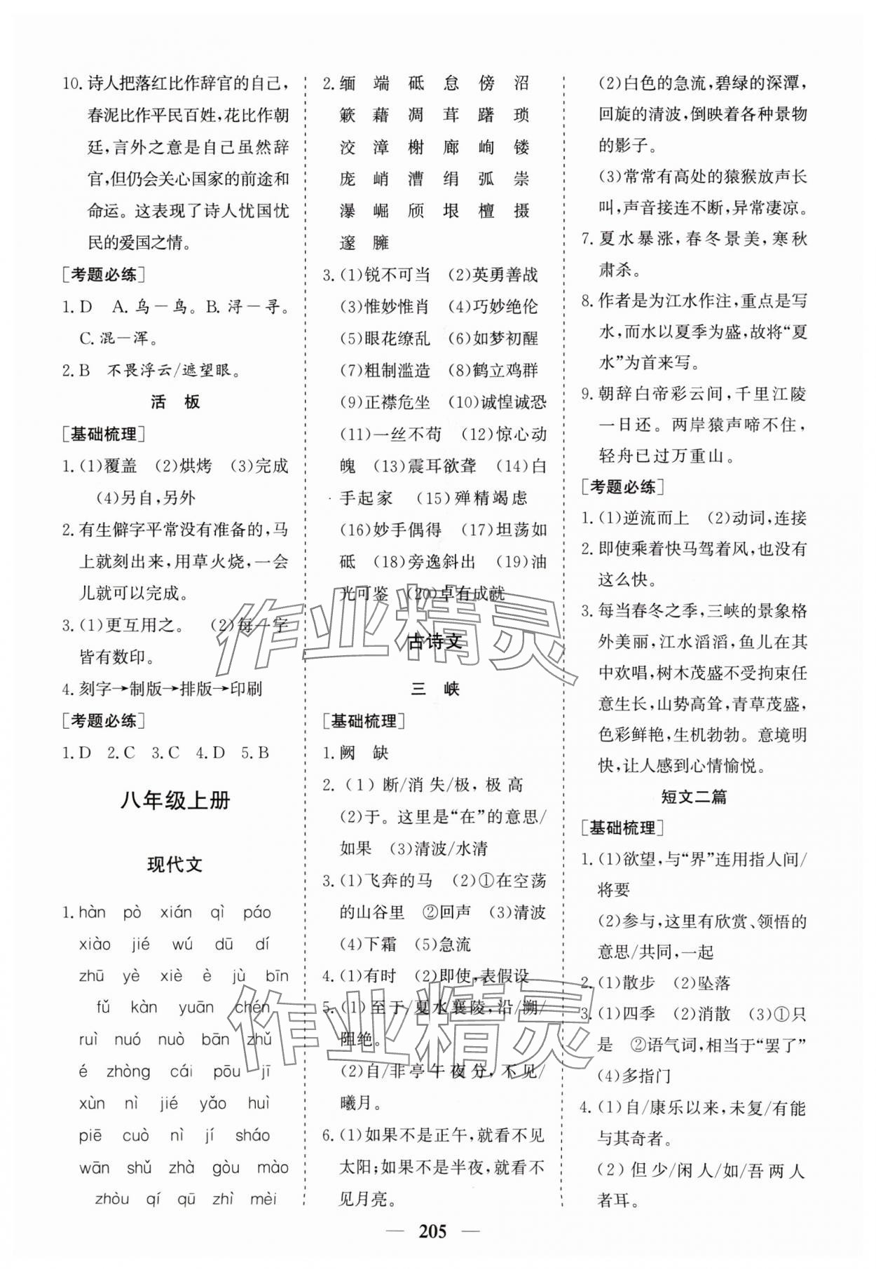 2024年點(diǎn)金考案語文 第7頁
