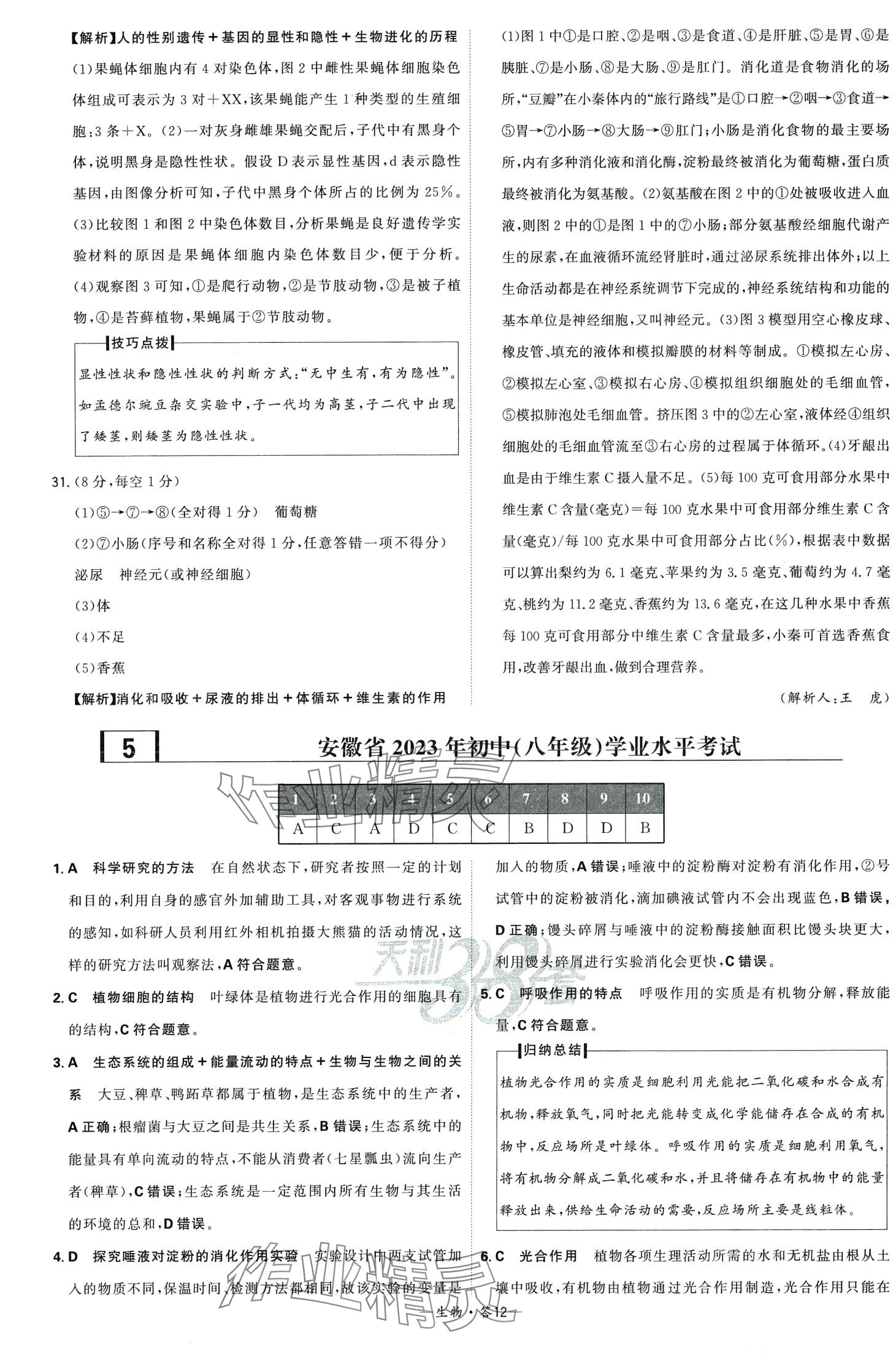 2024年天利38套新課標(biāo)全國中考試題精選生物中考 第14頁