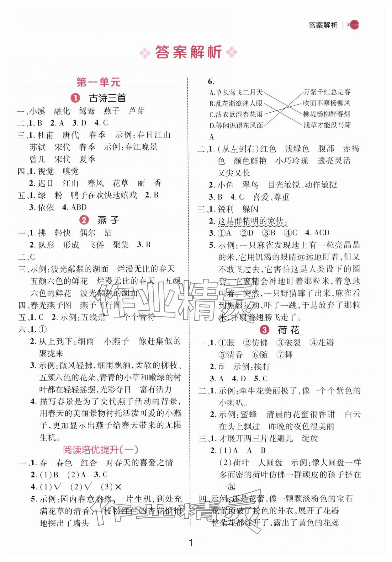 2025年細解巧練三年級語文下冊人教版 參考答案第1頁