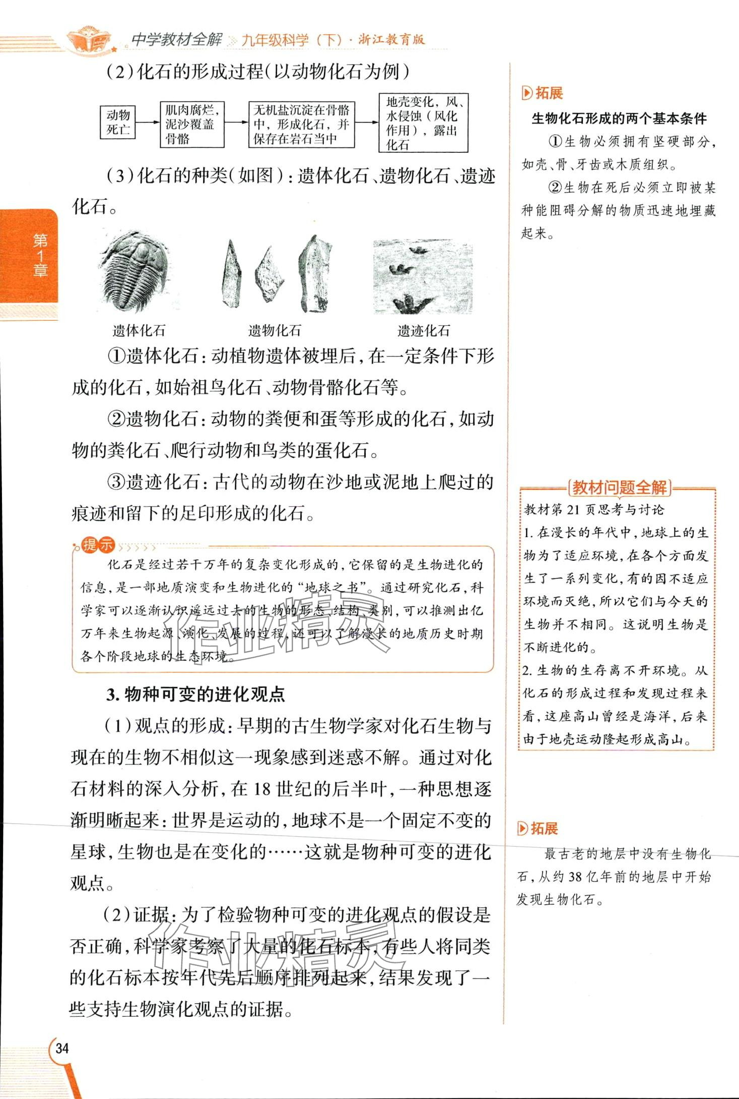 2024年教材全解九年級科學下冊浙教版 第34頁