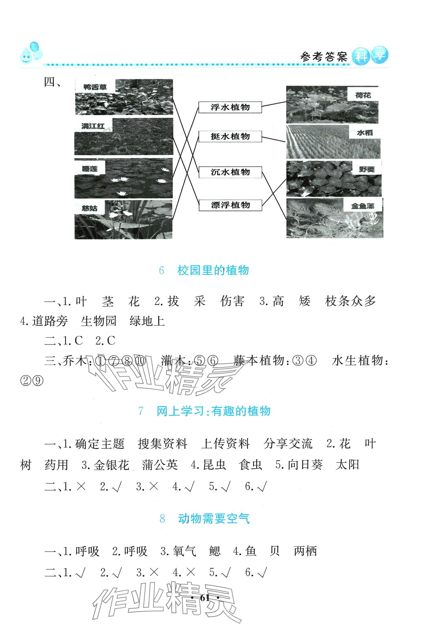 2024年同步活動練習(xí)冊四年級科學(xué)下冊科粵版 第3頁