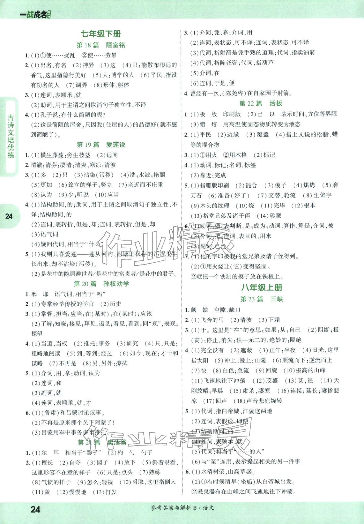 2026年纯练版总复习九年级语文全一册人教版&nbsp;第24页