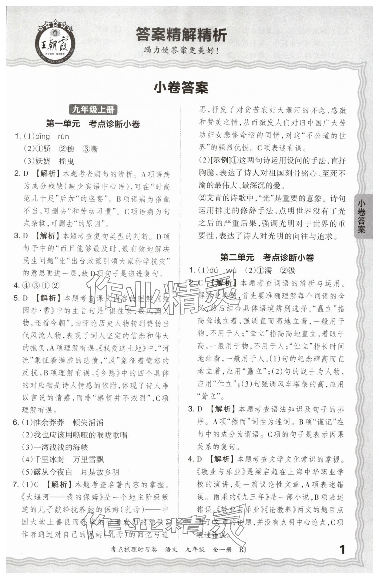 2024年王朝霞考點梳理時習(xí)卷九年級語文全一冊人教版 第1頁