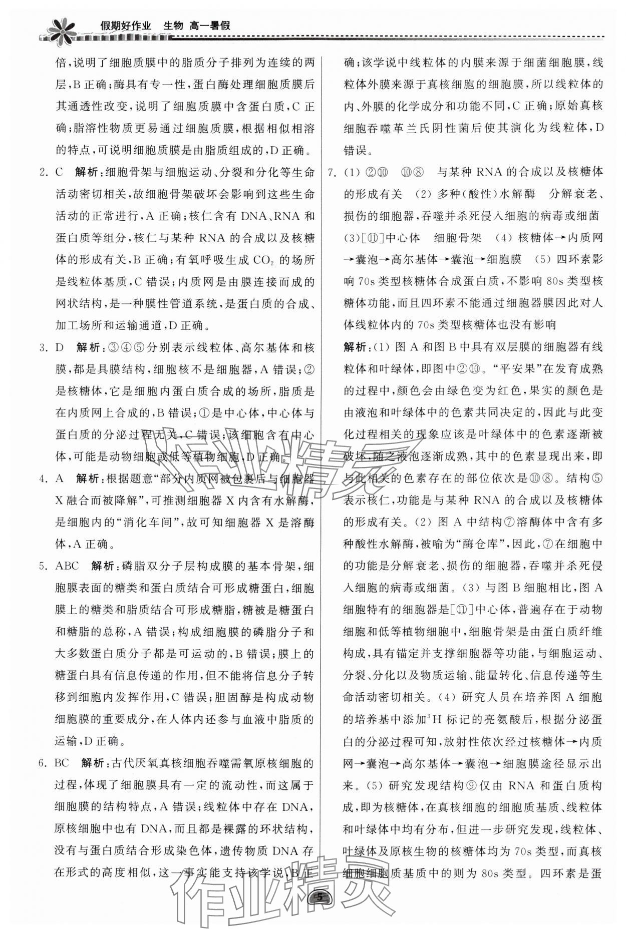 2024年假期好作业暨期末复习暑假高一生物 参考答案第5页